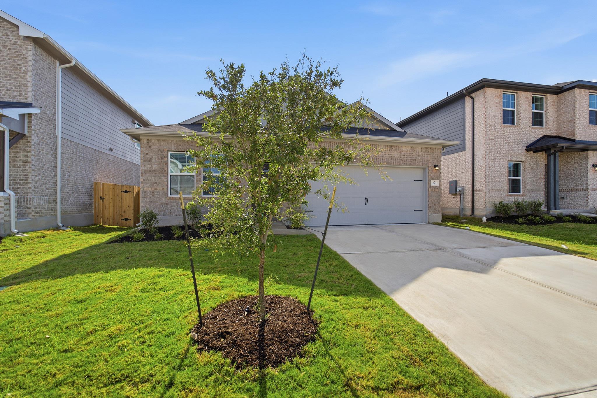 341 Begonia ST — photo 3