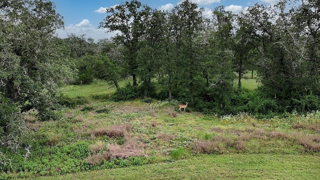2625 Burke RD — photo 3