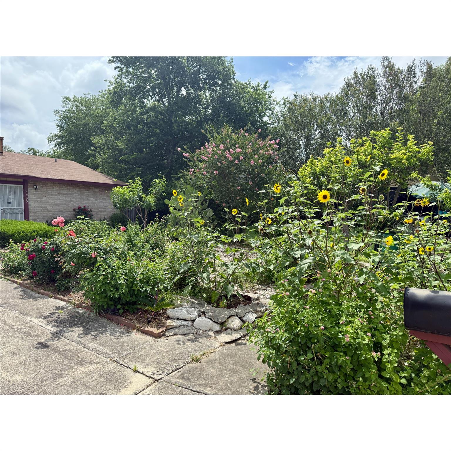 5935 Lake Champlain ST — photo 3