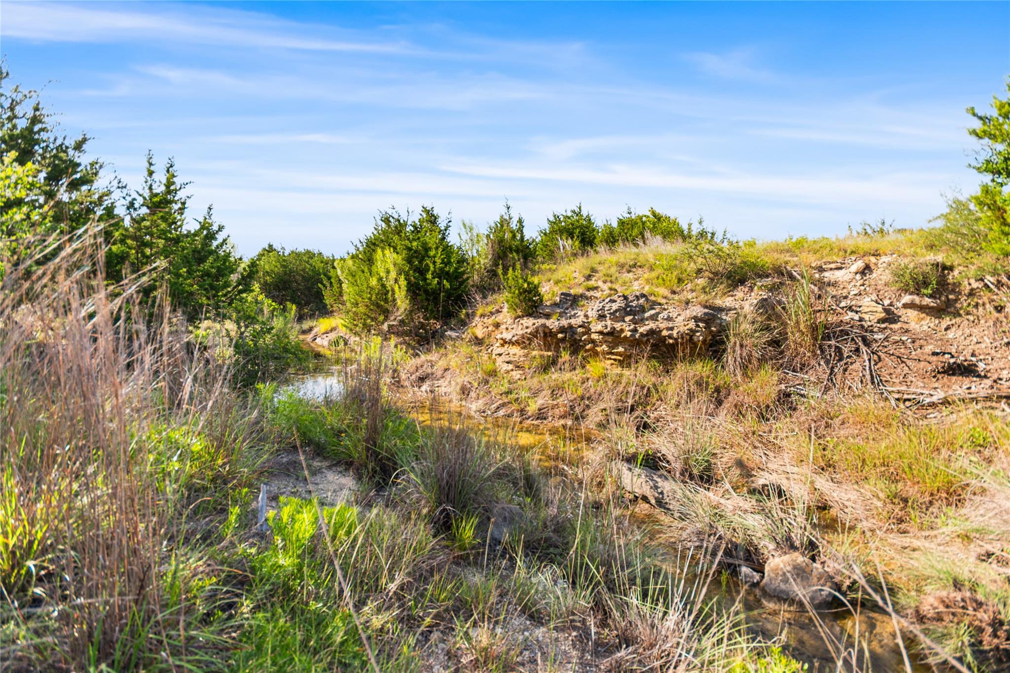 Lot 160 Brumley View CT — photo 3