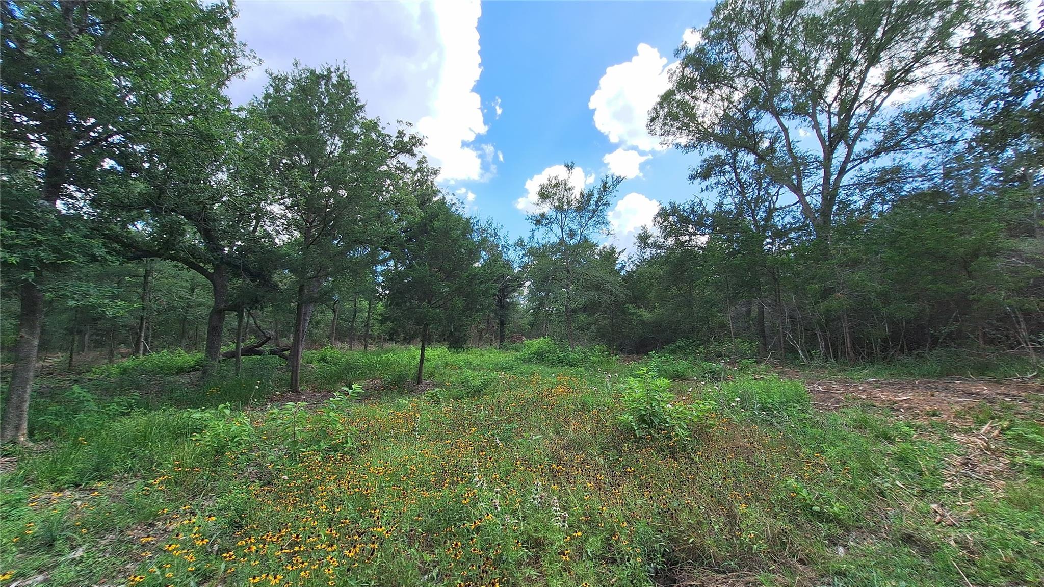 1014 Beaver Lake DR — photo 3