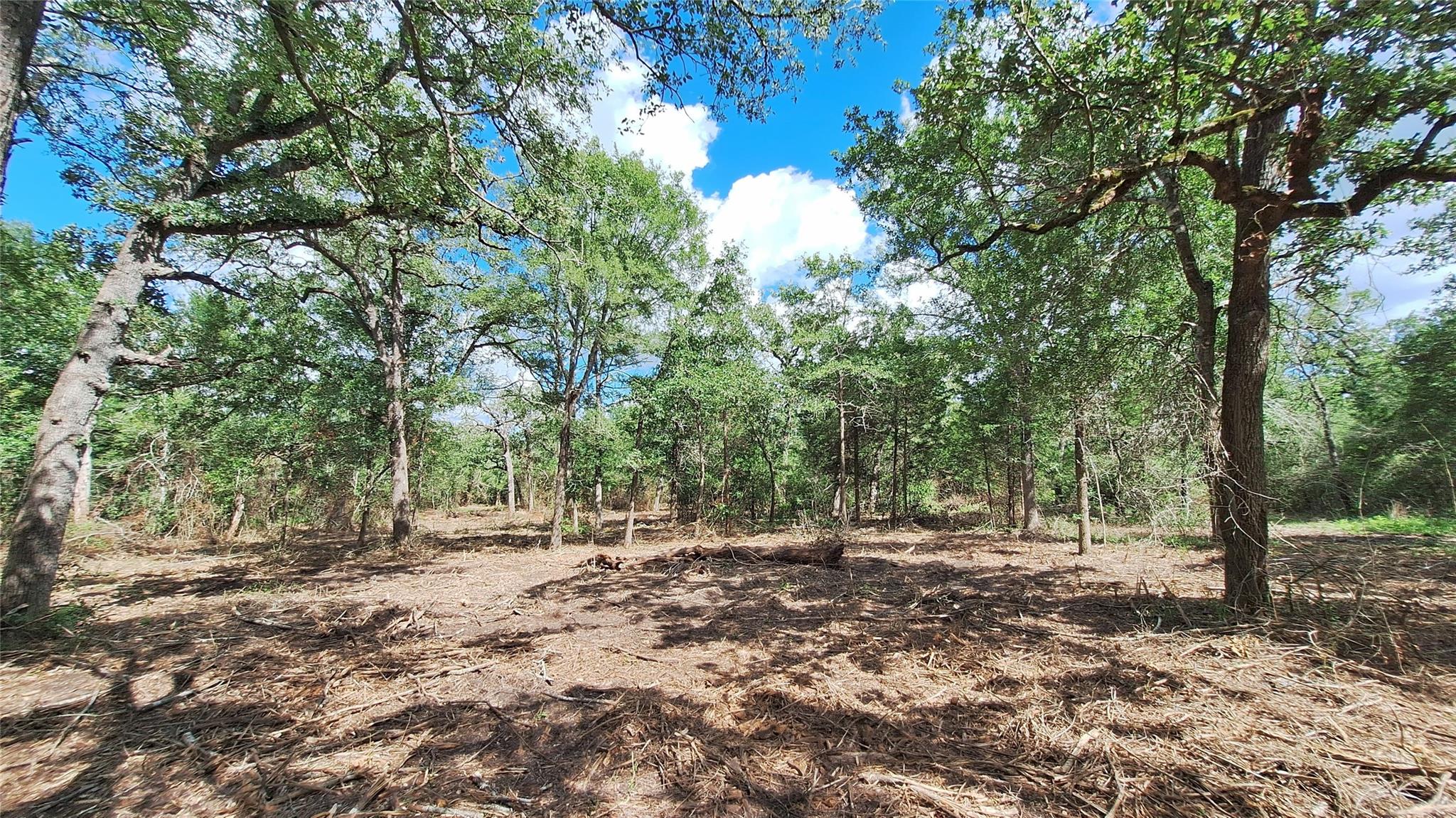 1014 Beaver Lake DR — photo 4
