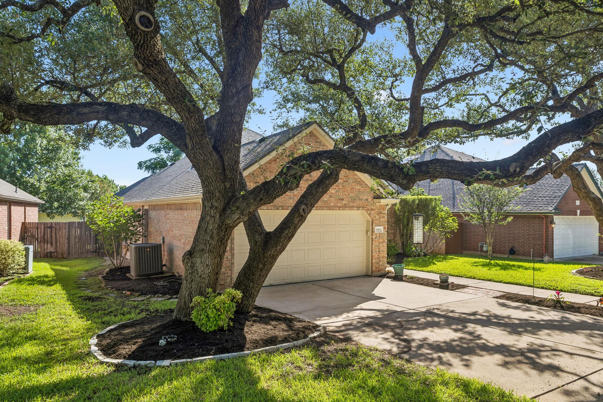 8414 Ironweed RUN — photo 3