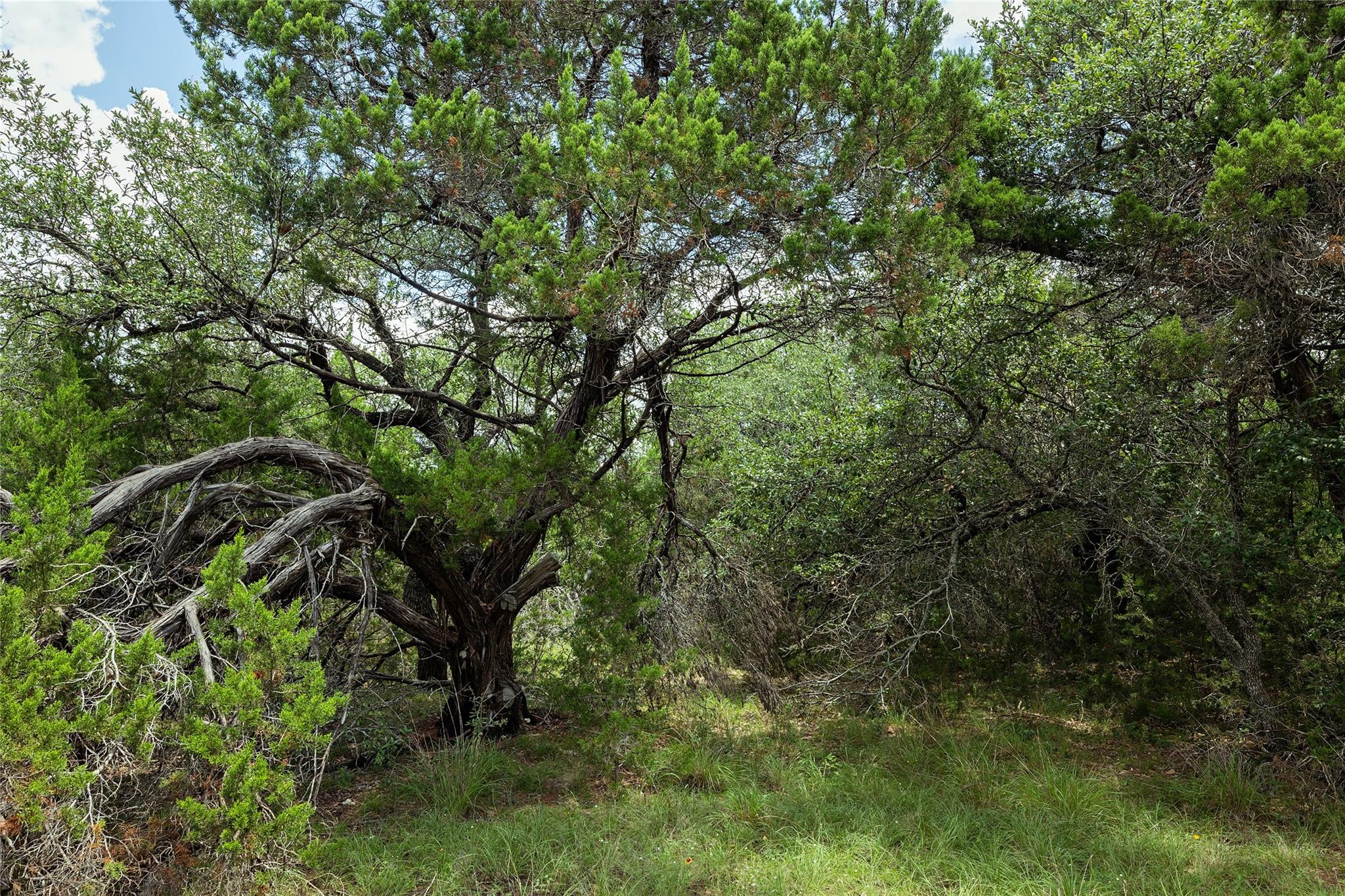 179 Shawnee TRL — photo 3