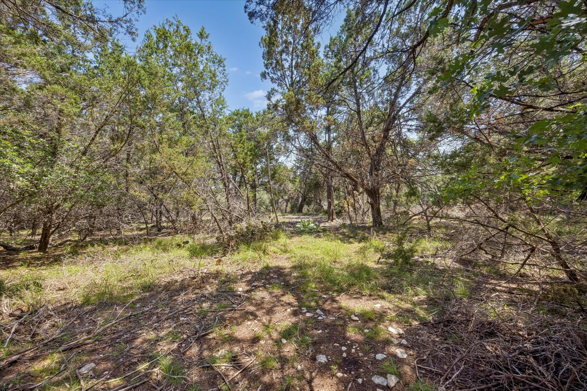 175 Spanish Oak LN — photo 3