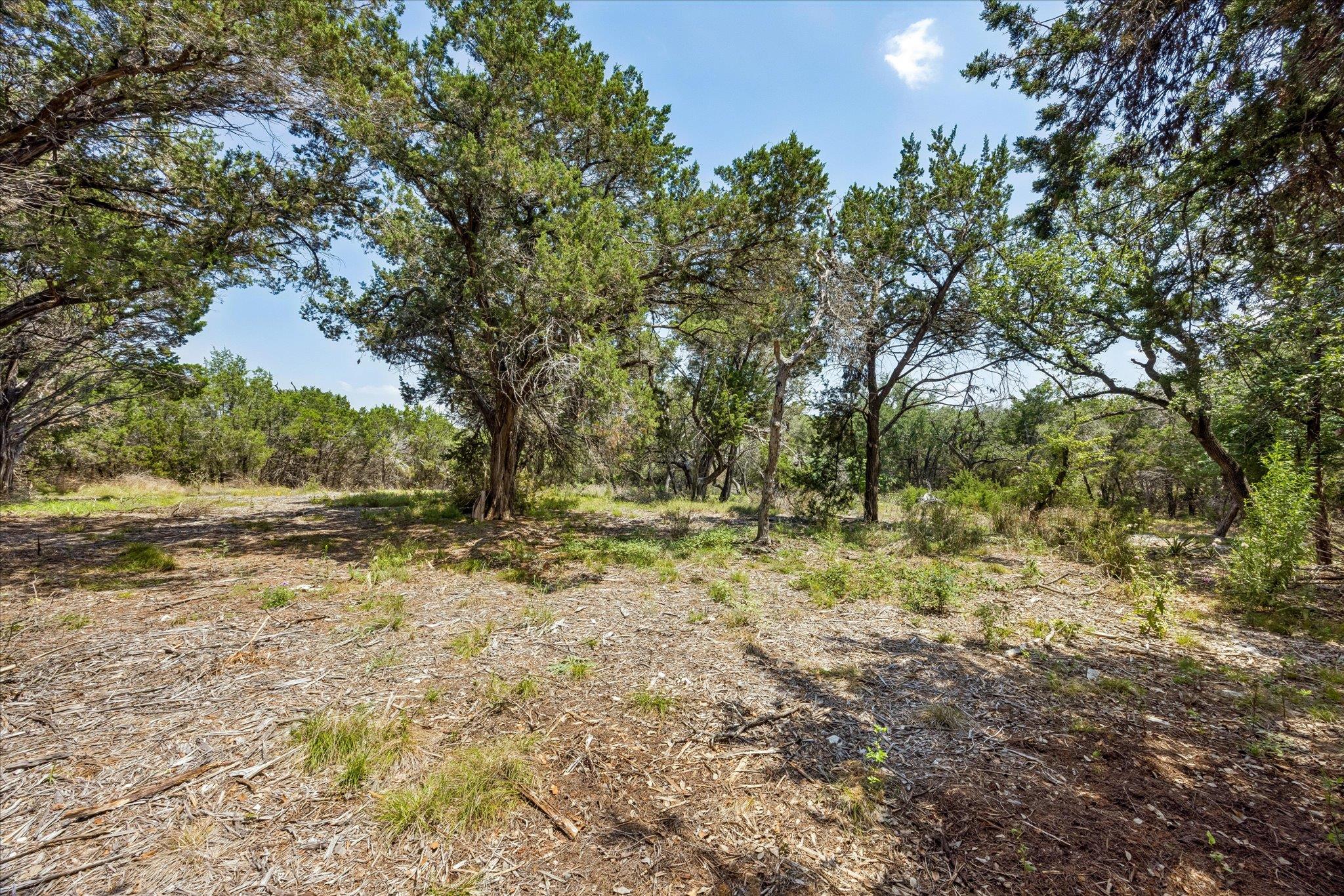 175 Spanish Oak LN — photo 4