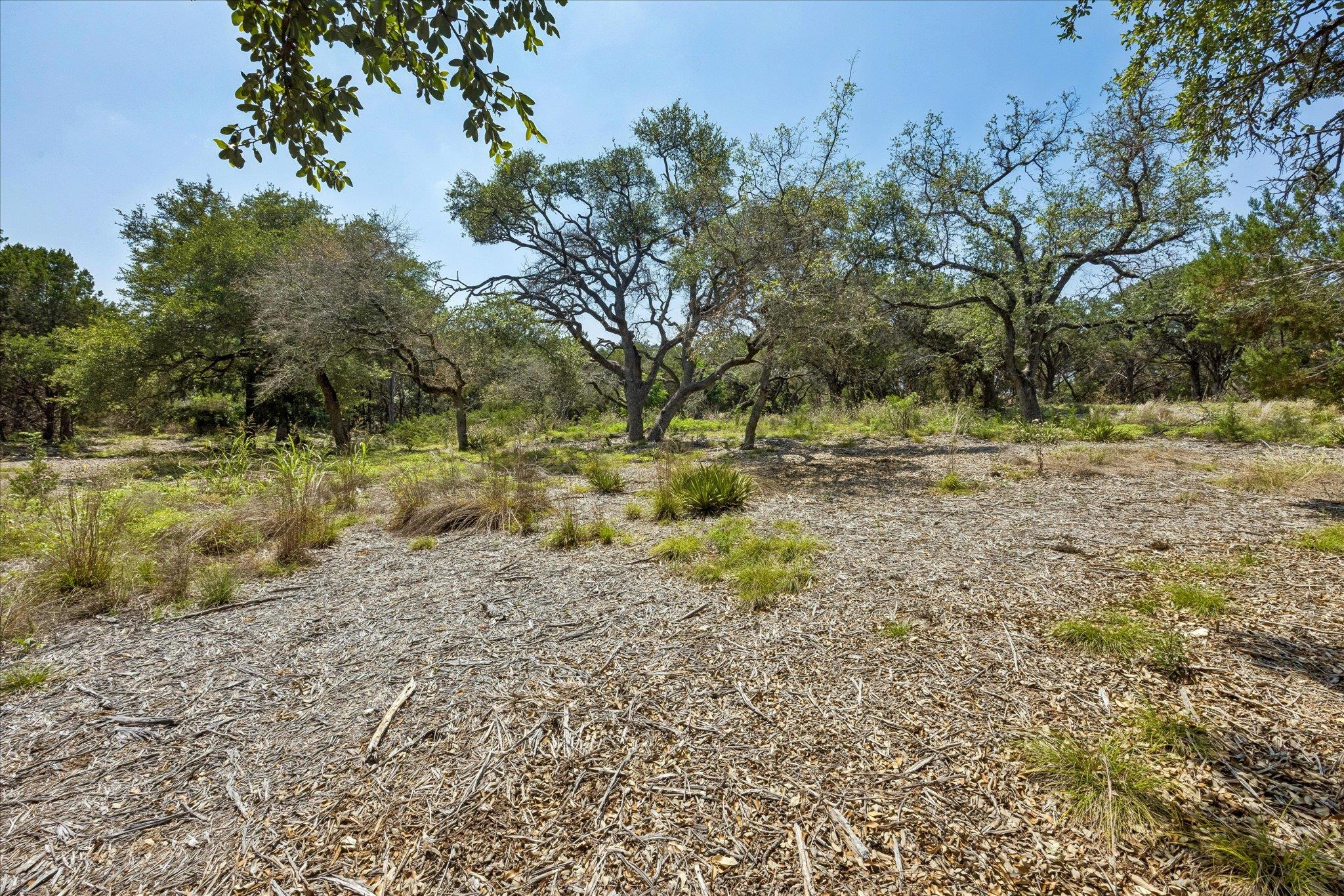 175 Spanish Oak LN — photo 5
