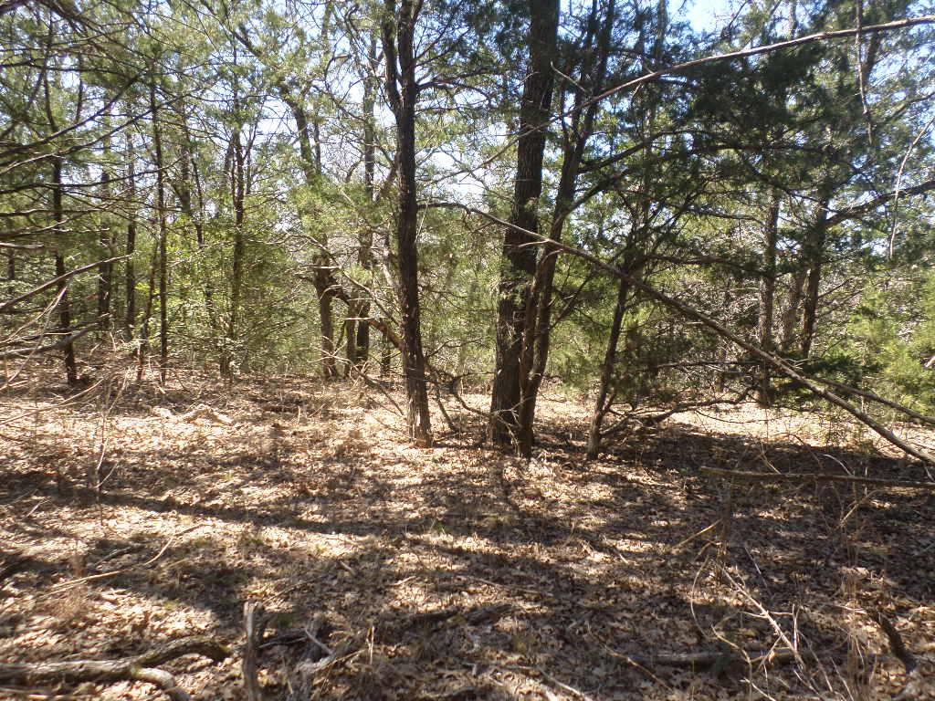 273 Unit H Walter Hoffman RD — photo 4