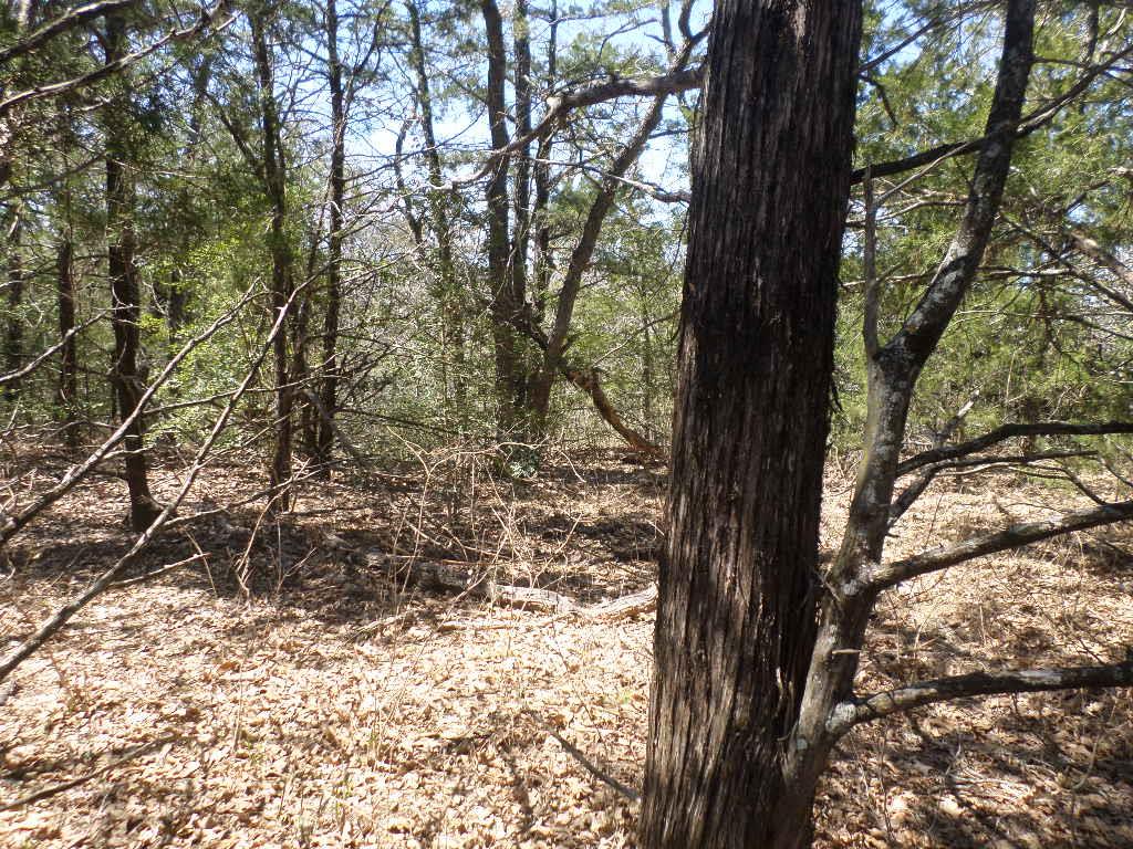 273 Unit H Walter Hoffman RD — photo 5