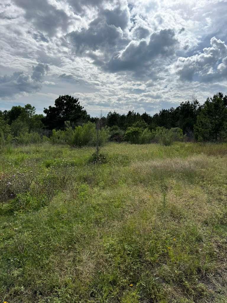 109 Pintail LN — photo 4