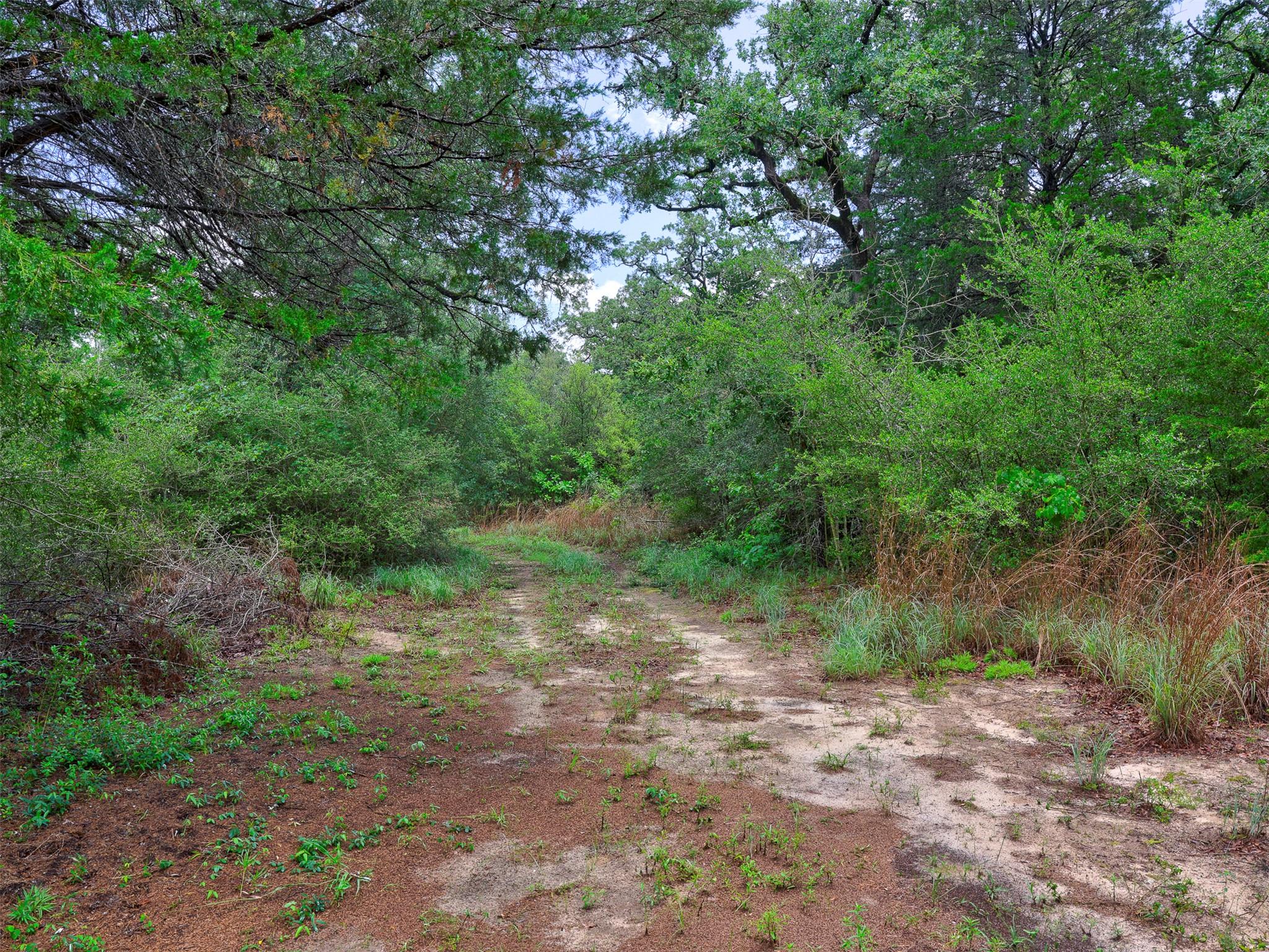 1420 CR C — photo 4