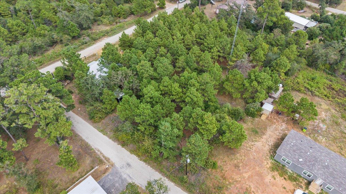 259 Pinehill DR — photo 5