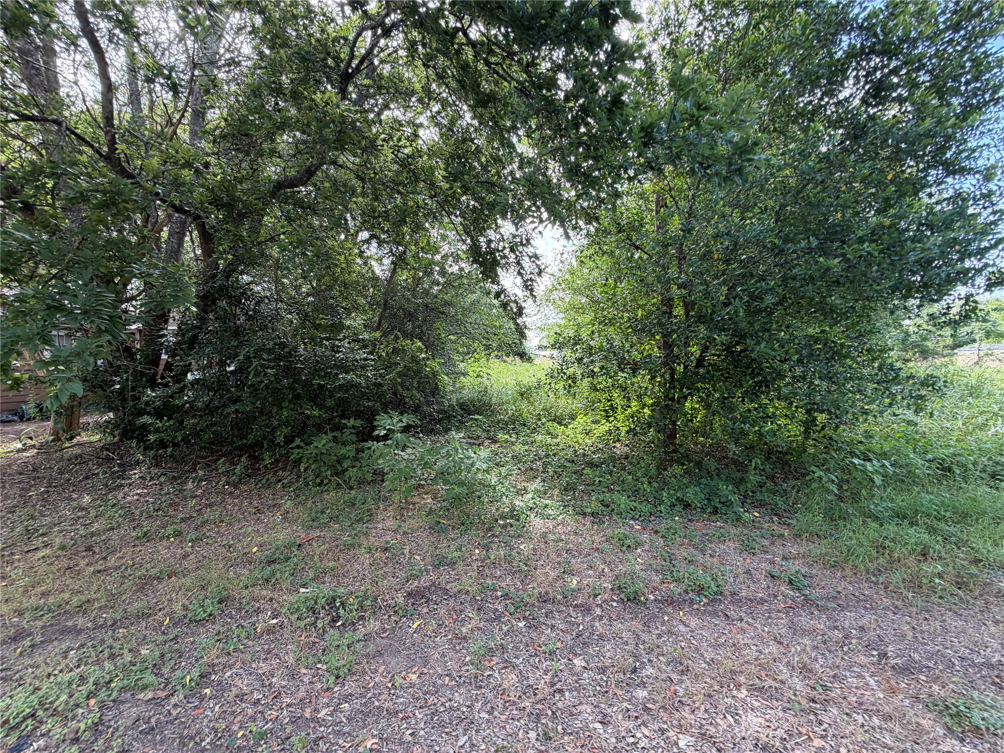 305 Ross ST — photo 4