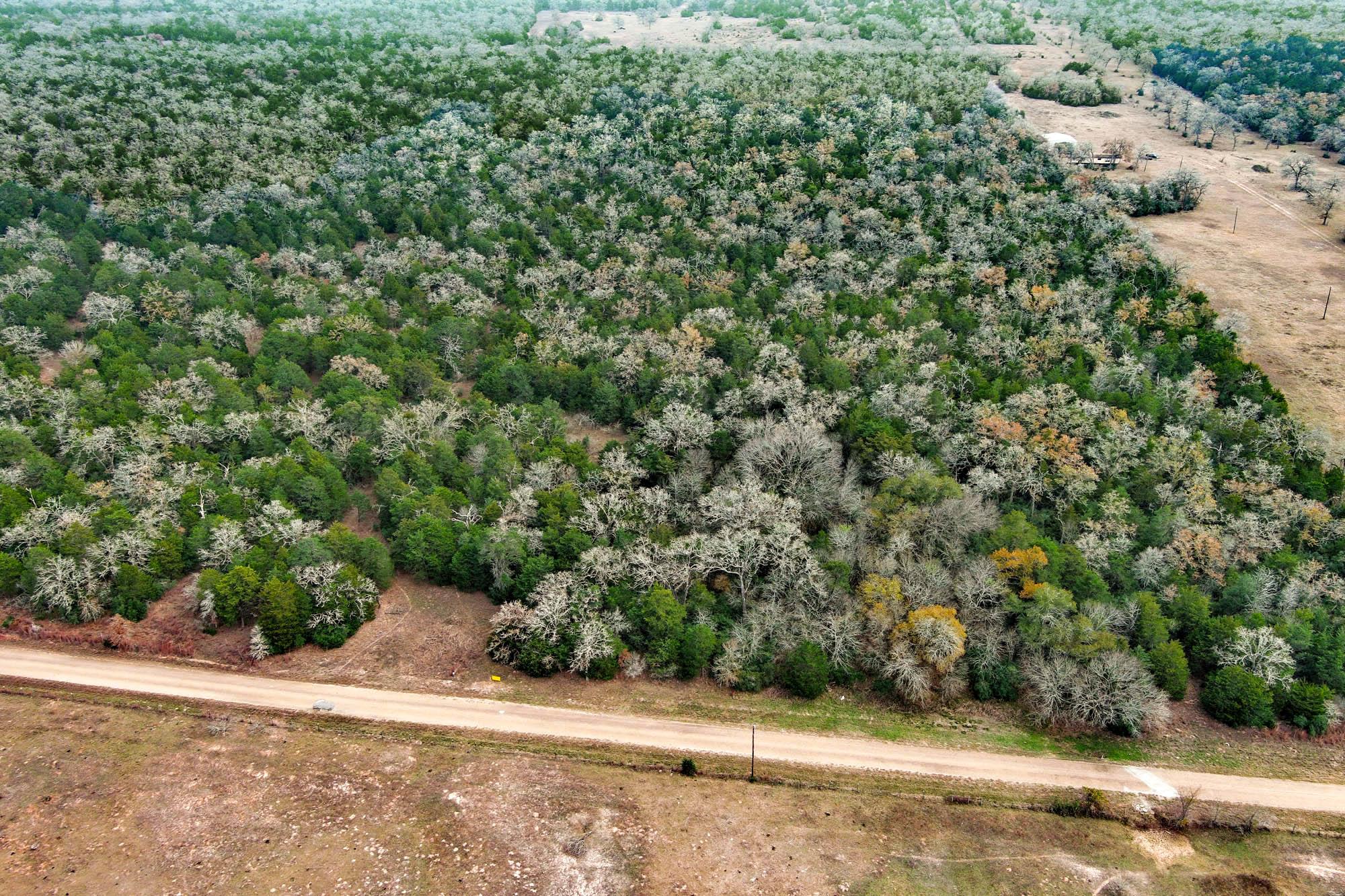 24 acres CR 332 RD — photo 3