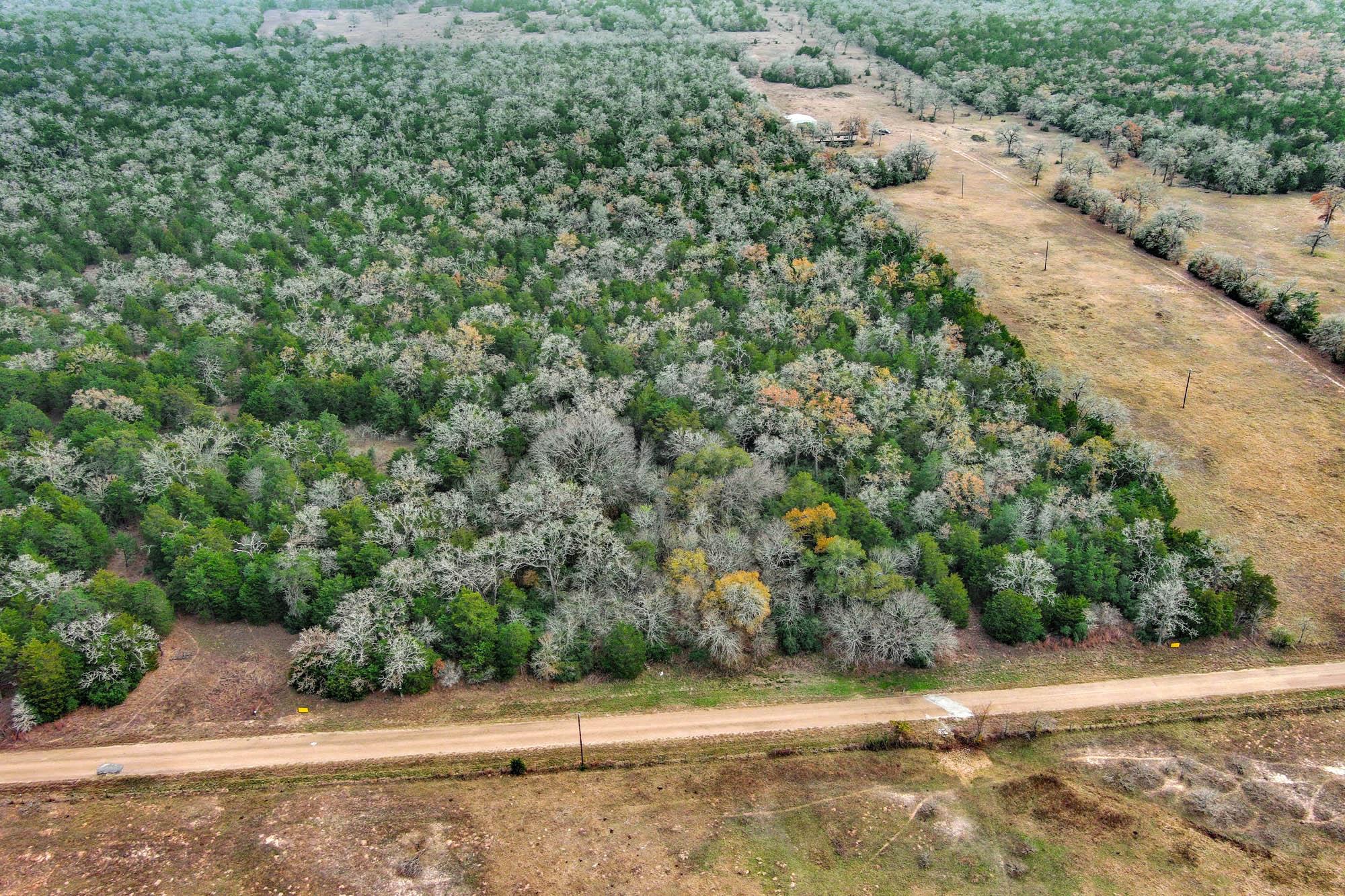 24 acres CR 332 RD — photo 5