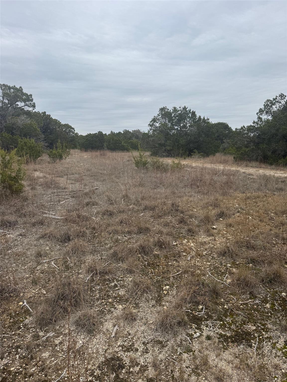 31822 Mirela Anne RD #Lot 4F & 4E — photo 5