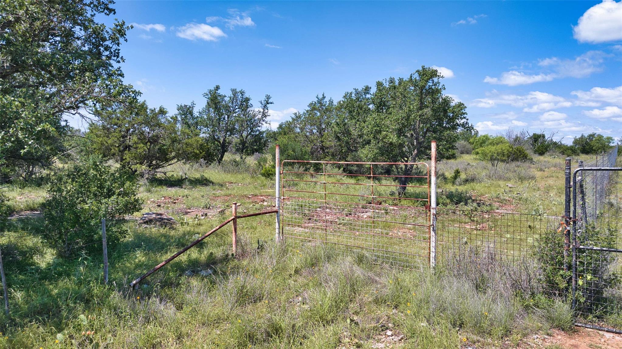 85 Acres Private Road 644 — photo 4