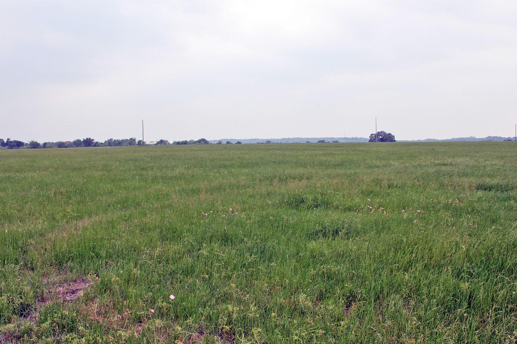 00 Brushy Branch RD — photo 4