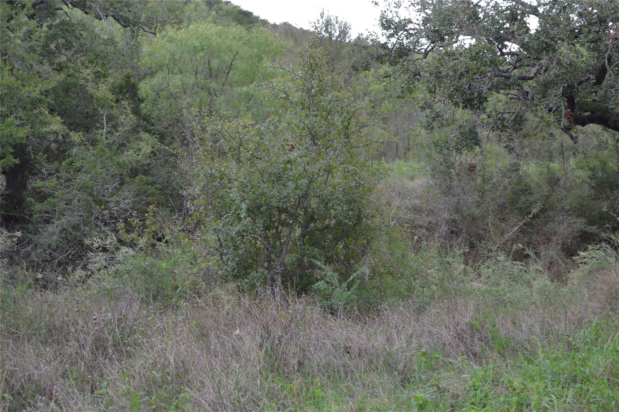0 Ranch Road 2241 — photo 4