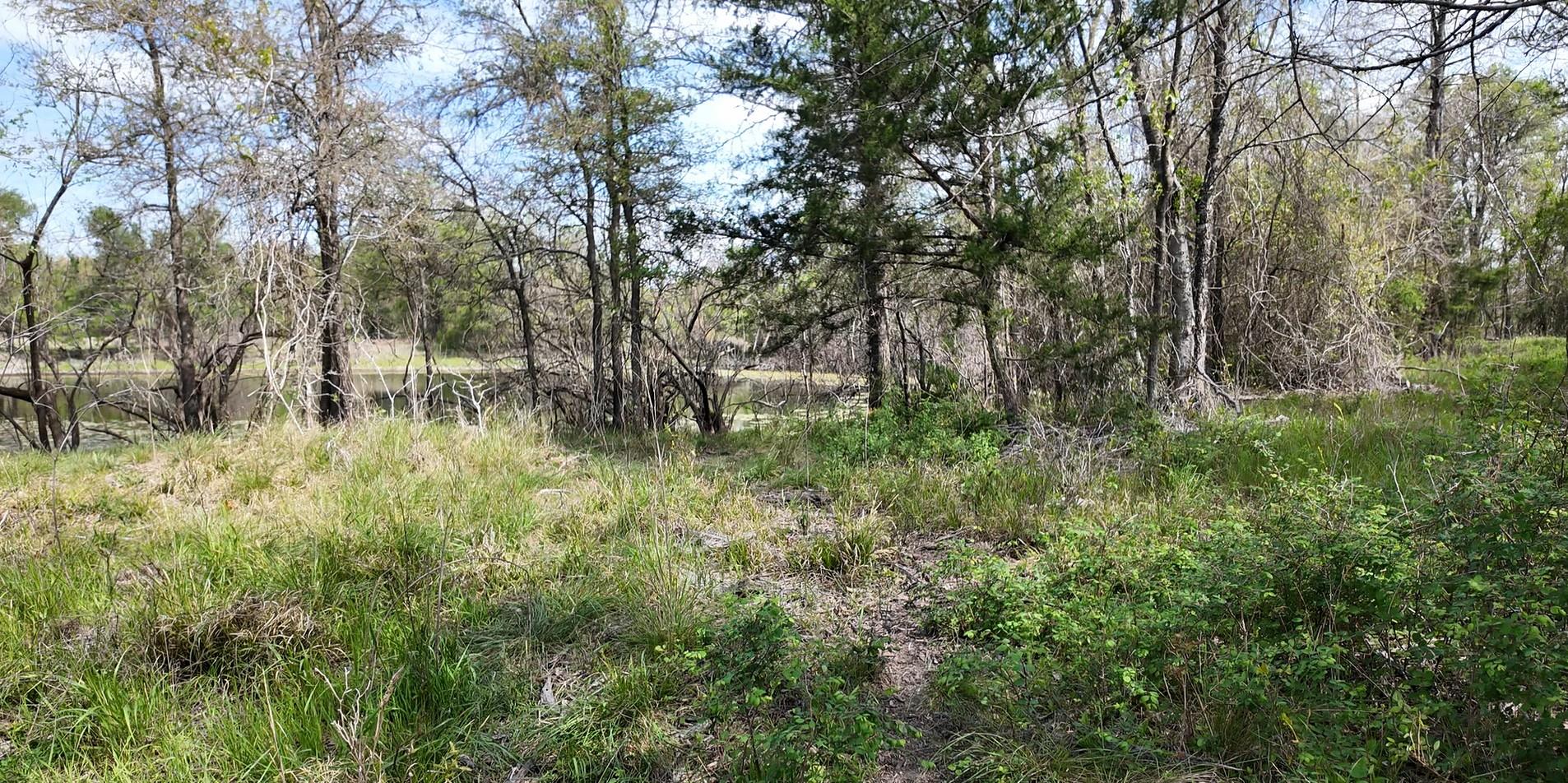 144 CR 219 — photo 3