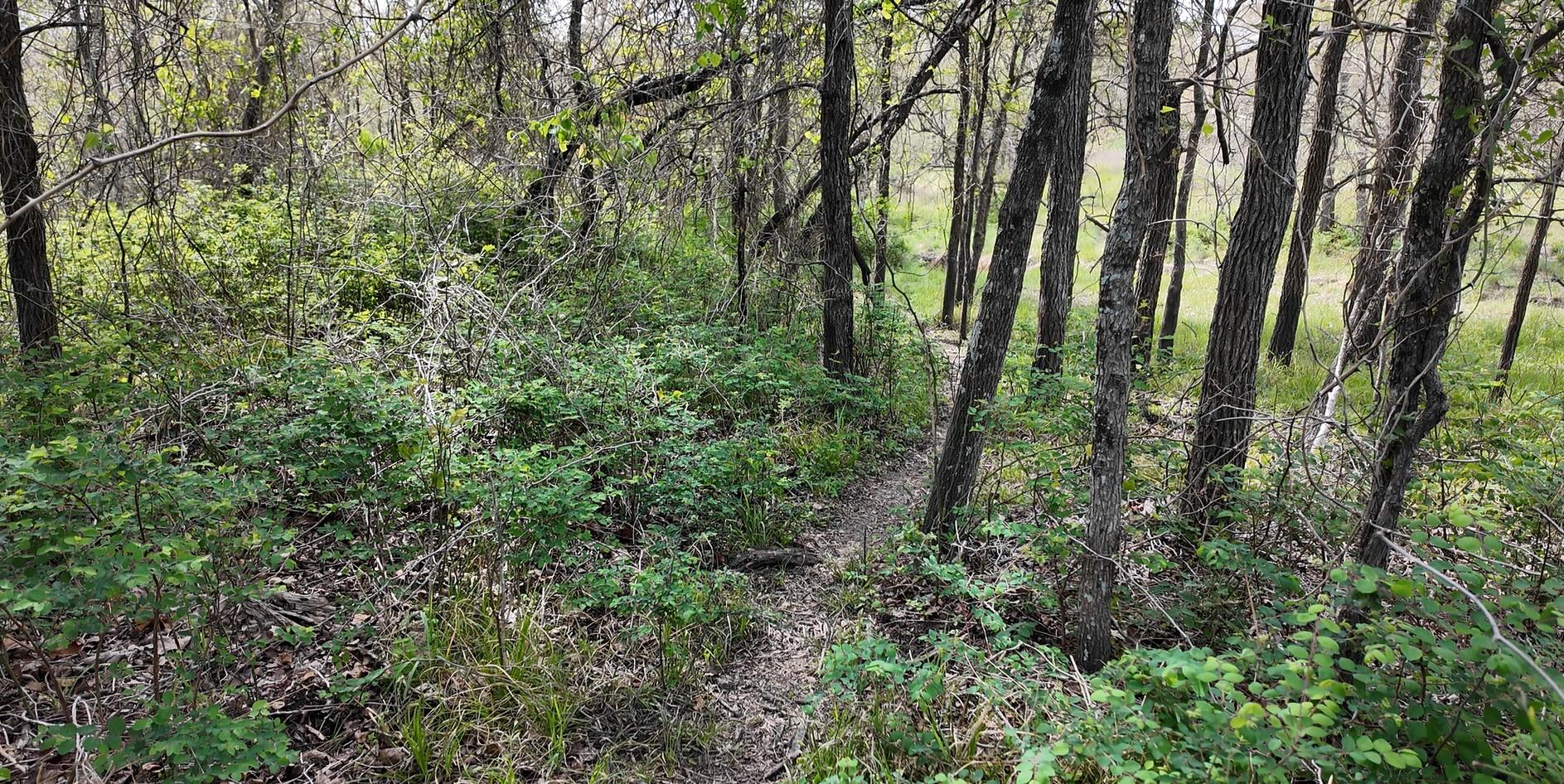 144 CR 219 — photo 4