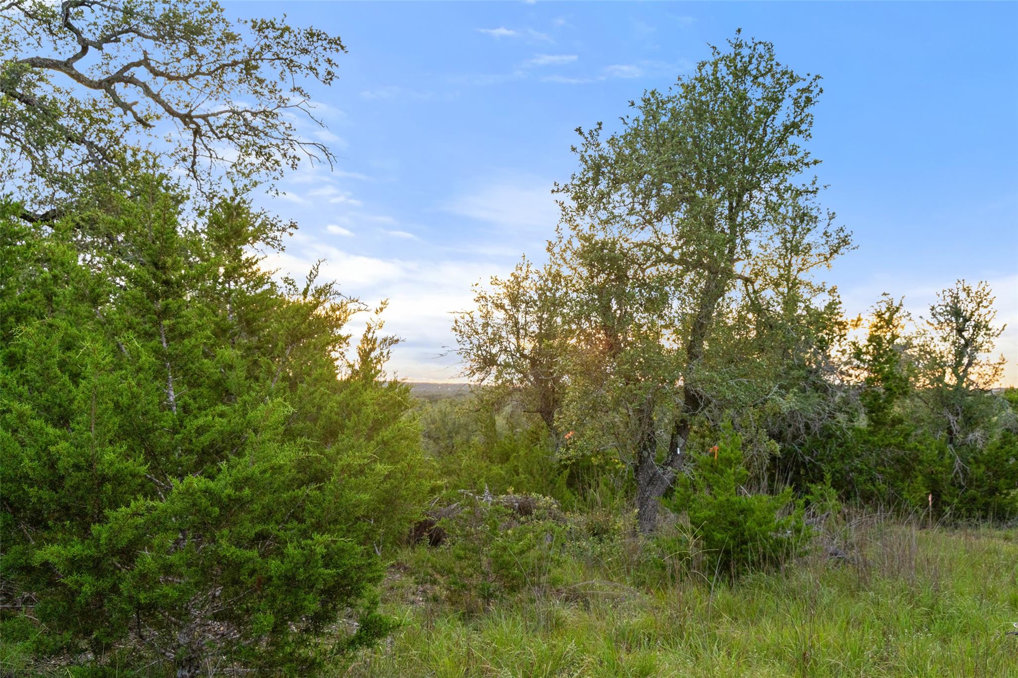 32000 Mirela Ann RD — photo 4