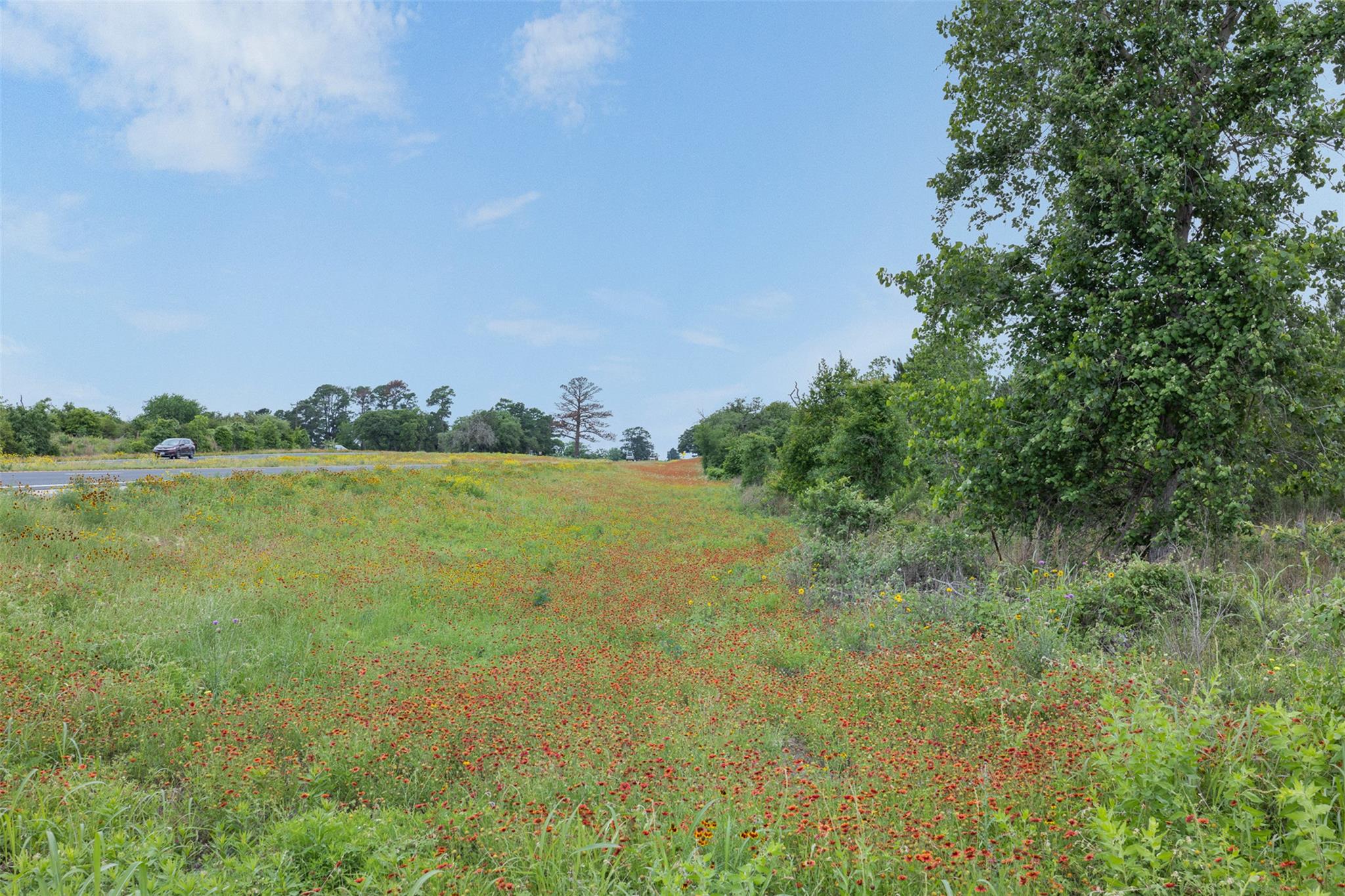 TBD Lot 20c County RD — photo 3
