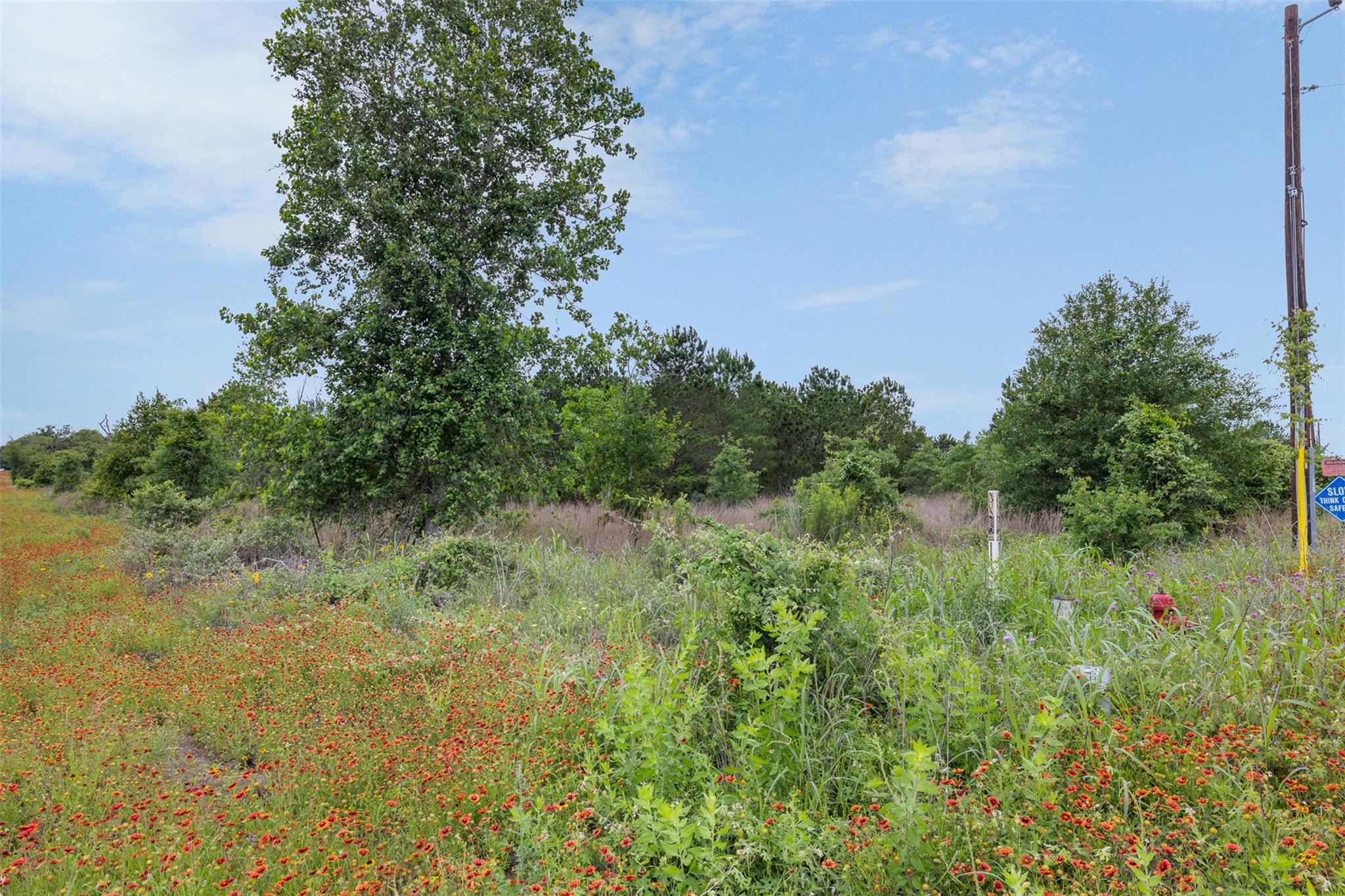TBD Lot 20c County RD — photo 5