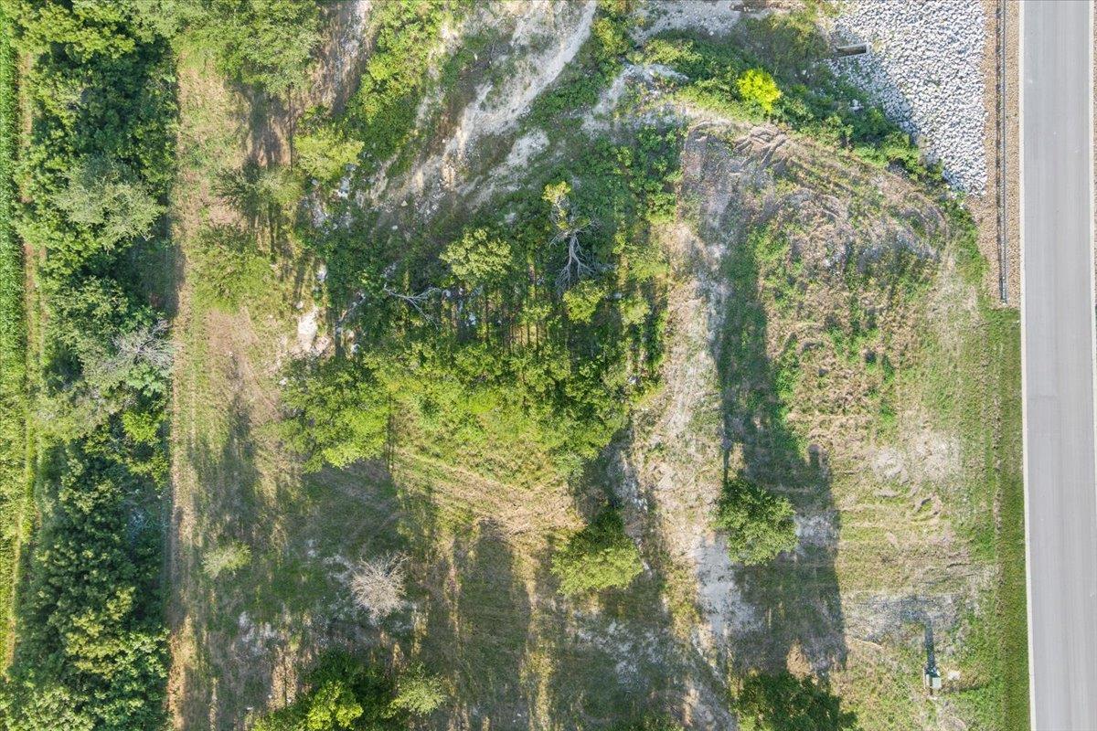 10108 Blanco Springs RD — photo 4