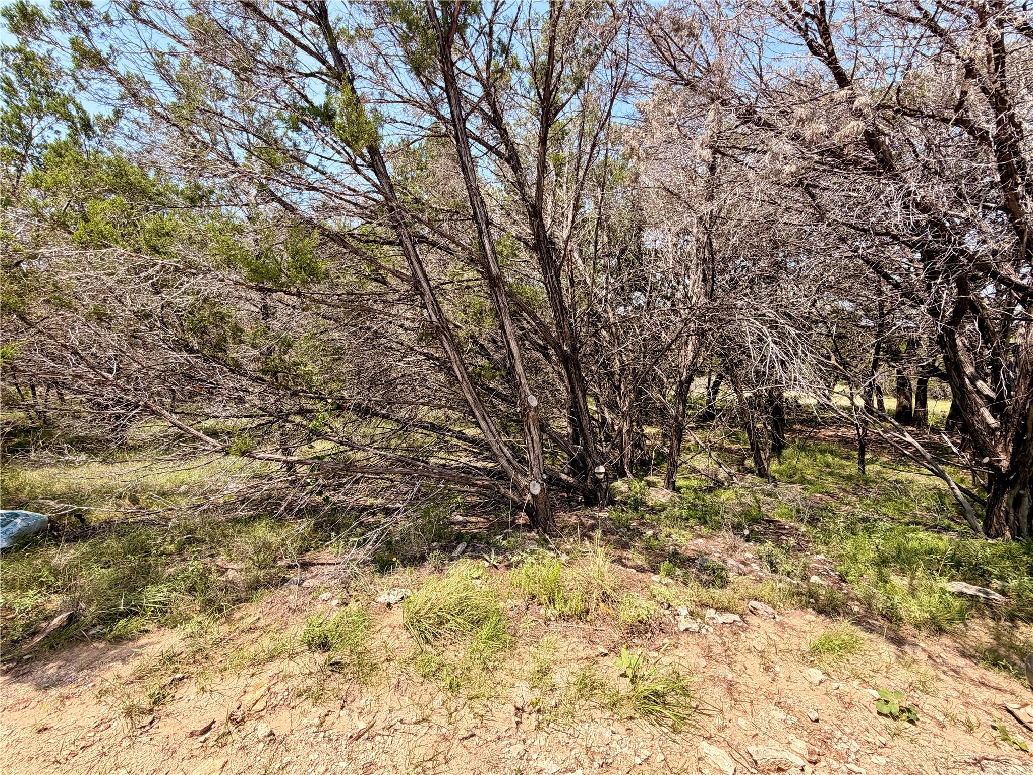 21807 O'Henry Ave — photo 5