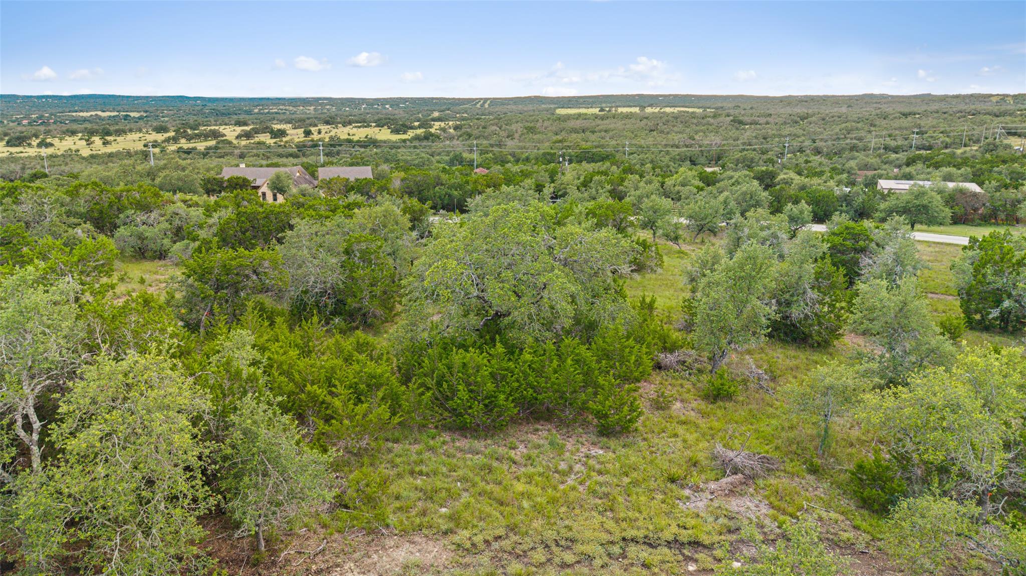 31890 Mirela Ann RD — photo 3