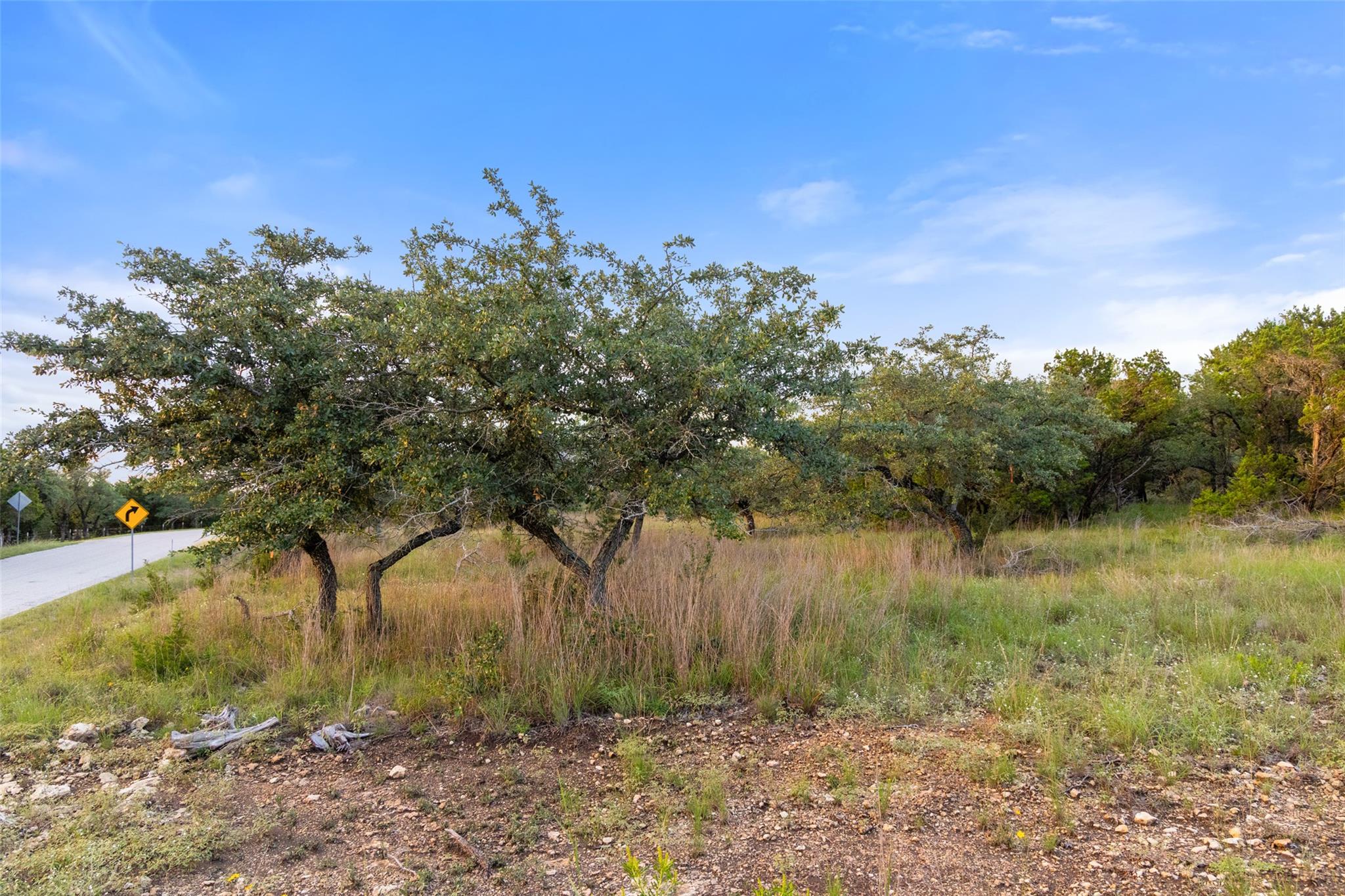 31930 Mirela Ann RD — photo 4
