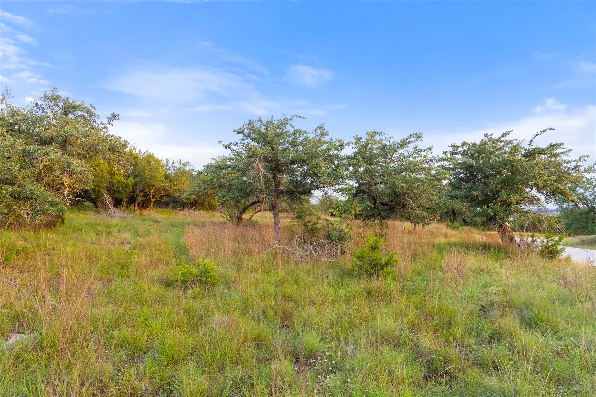 31930 Mirela Ann RD — photo 5