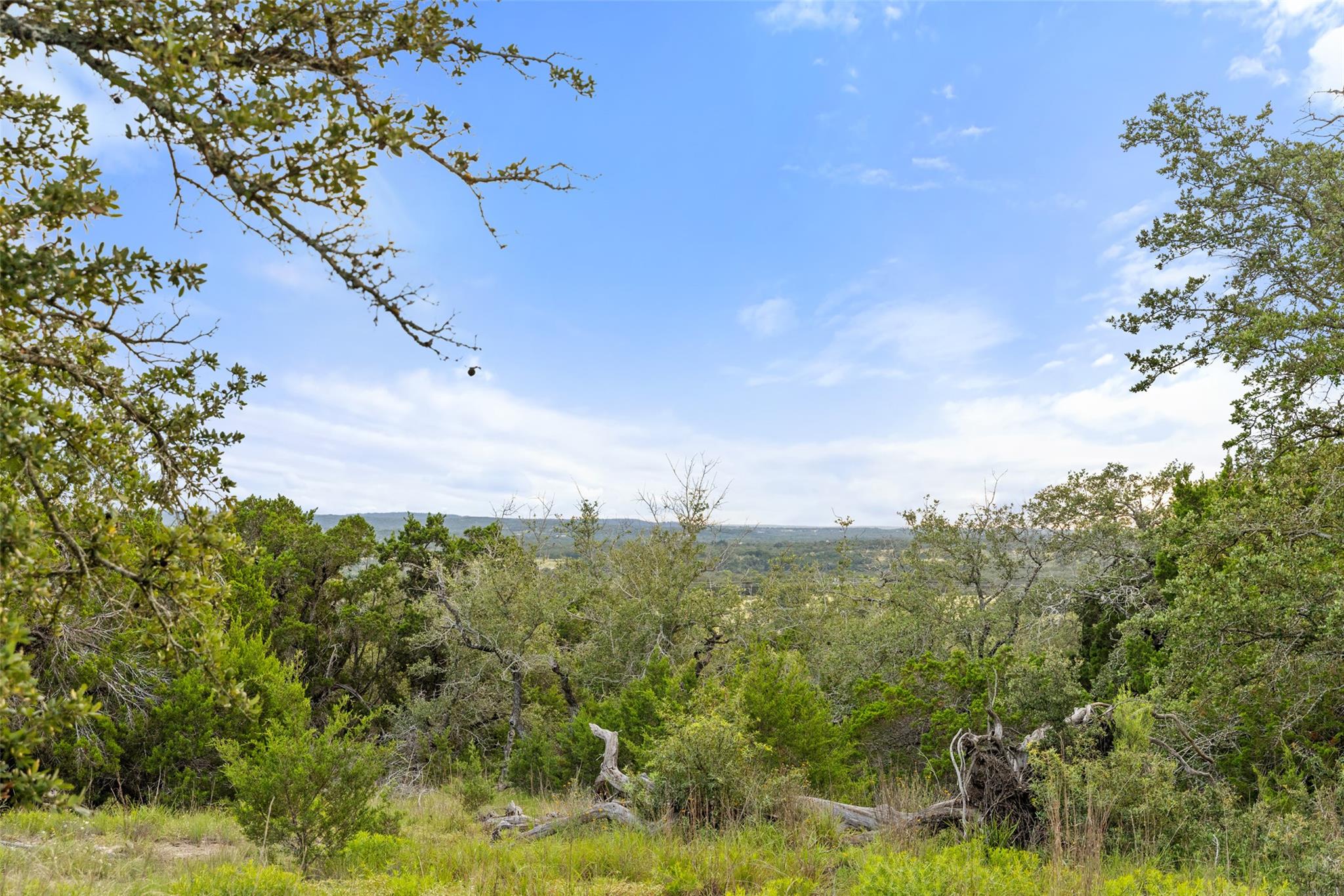 31860 Mirela Ann RD — photo 4