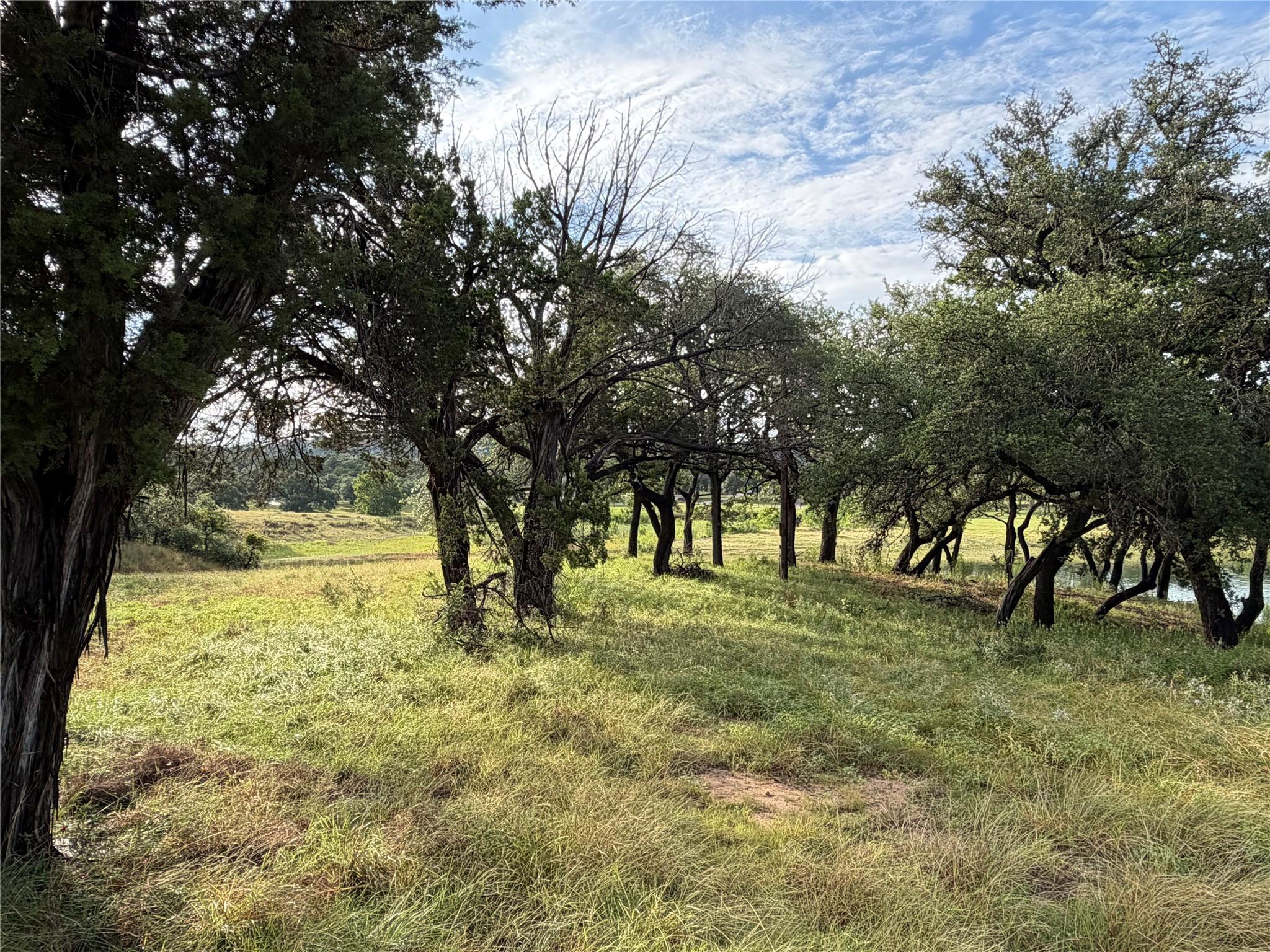 6701 Bar K Ranch RD — photo 5