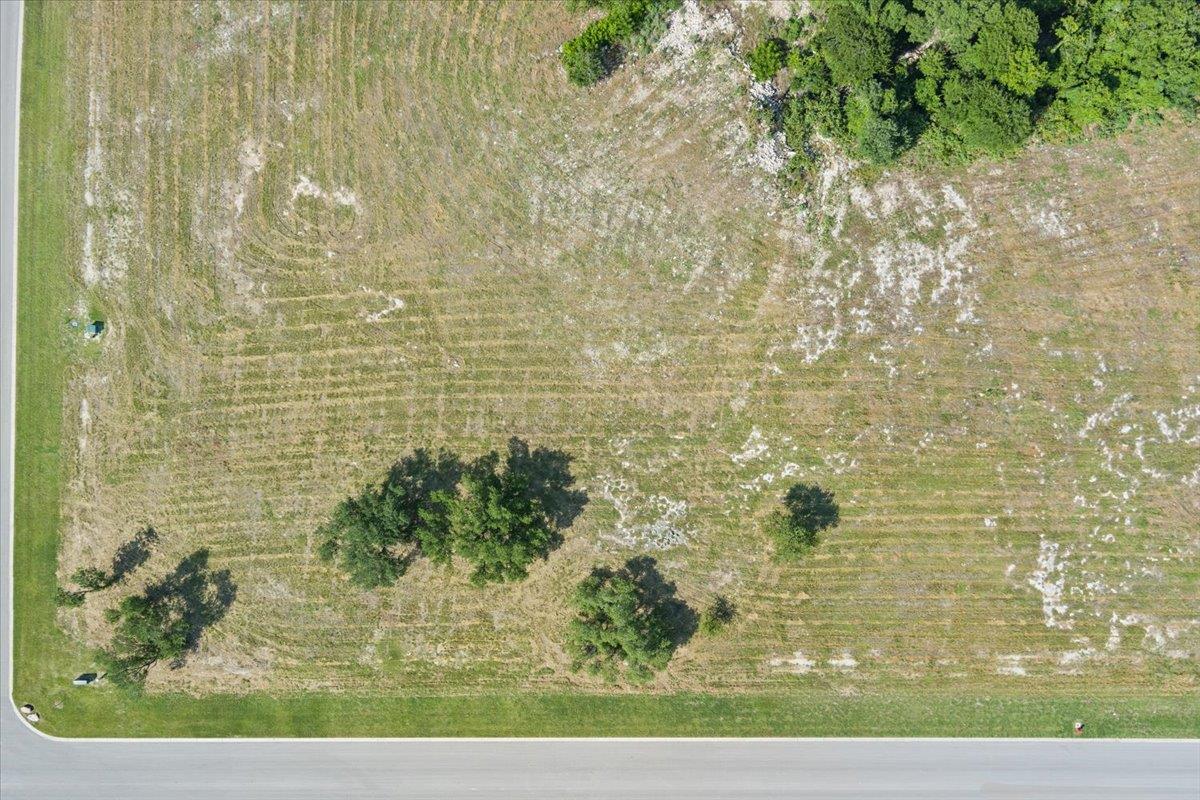 10155 Blanco Springs RD — photo 3
