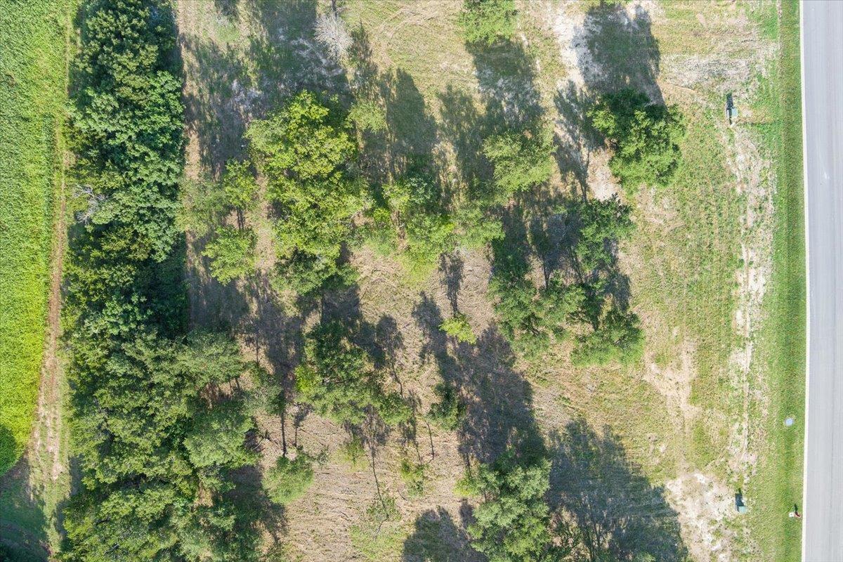 10114 Blanco Springs RD — photo 3