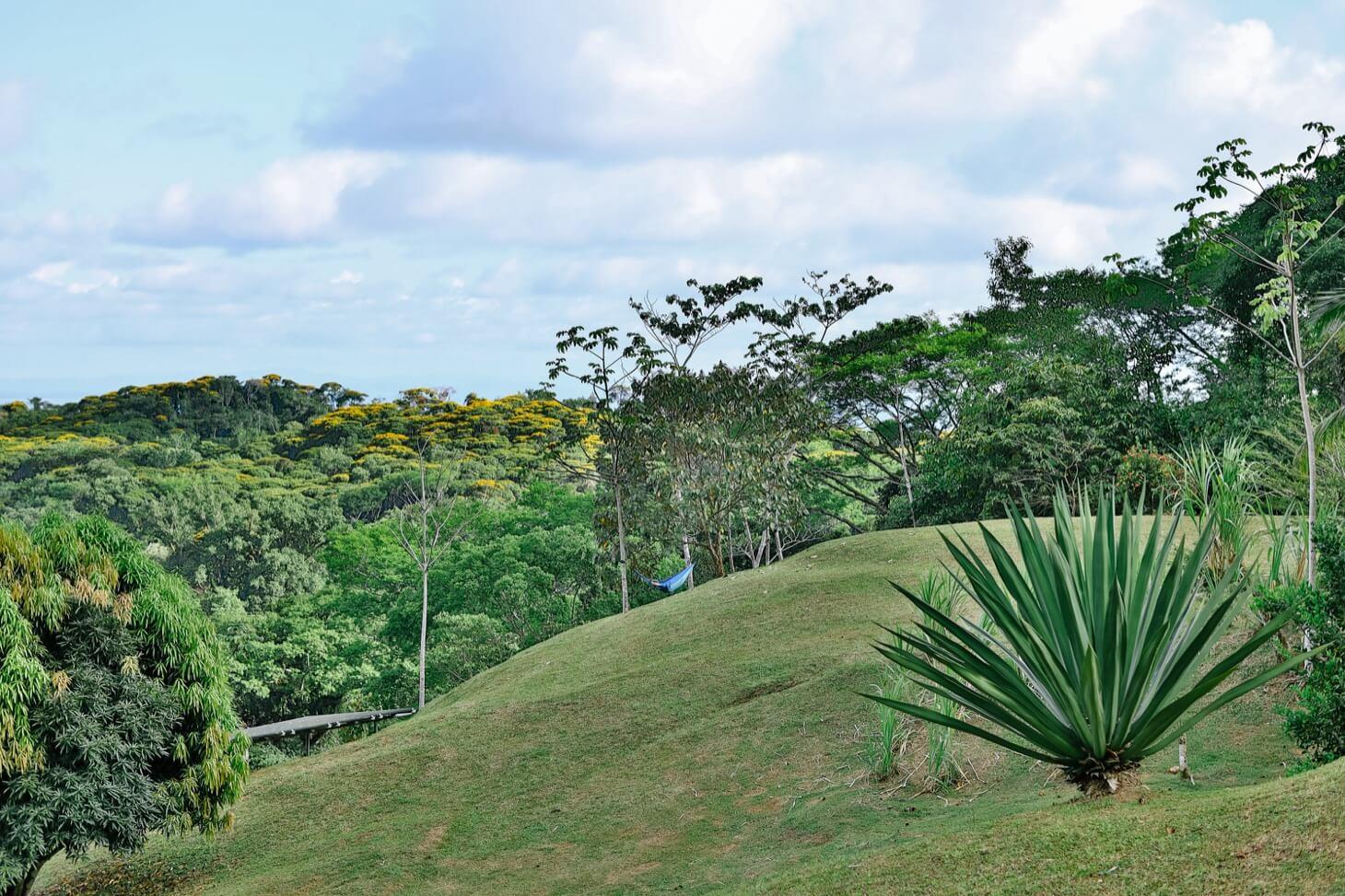0000 Hidden Gem: A Sustainable Eco Community/Yoga — photo 3