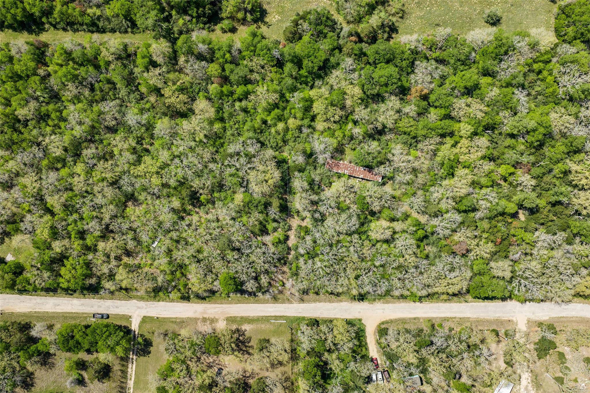 1156 Deerwood DR — photo 3