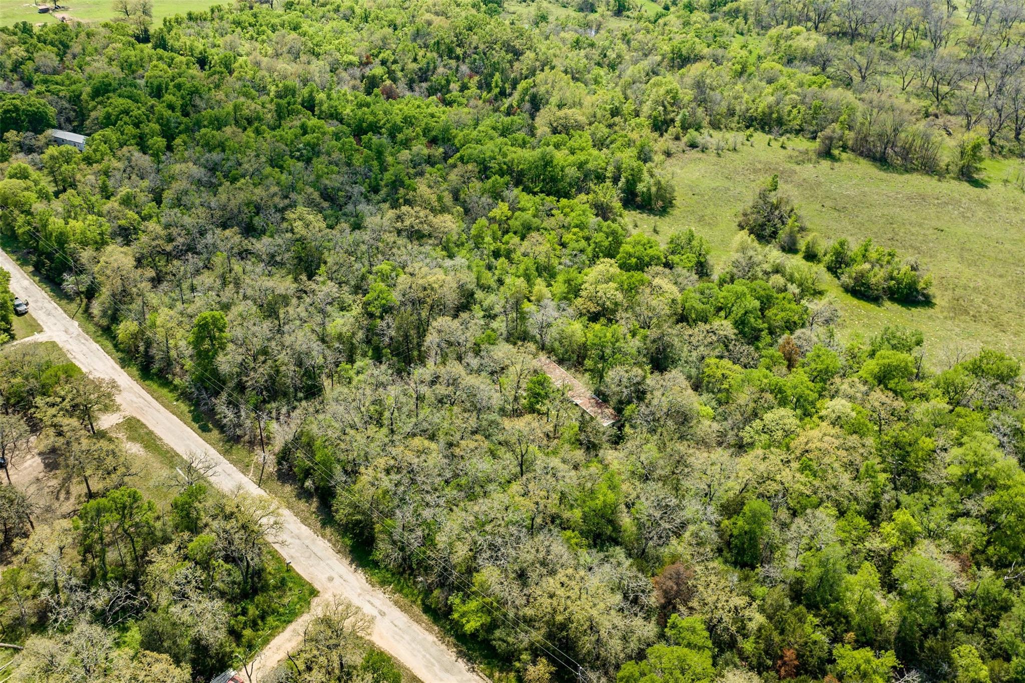 1156 Deerwood DR — photo 4