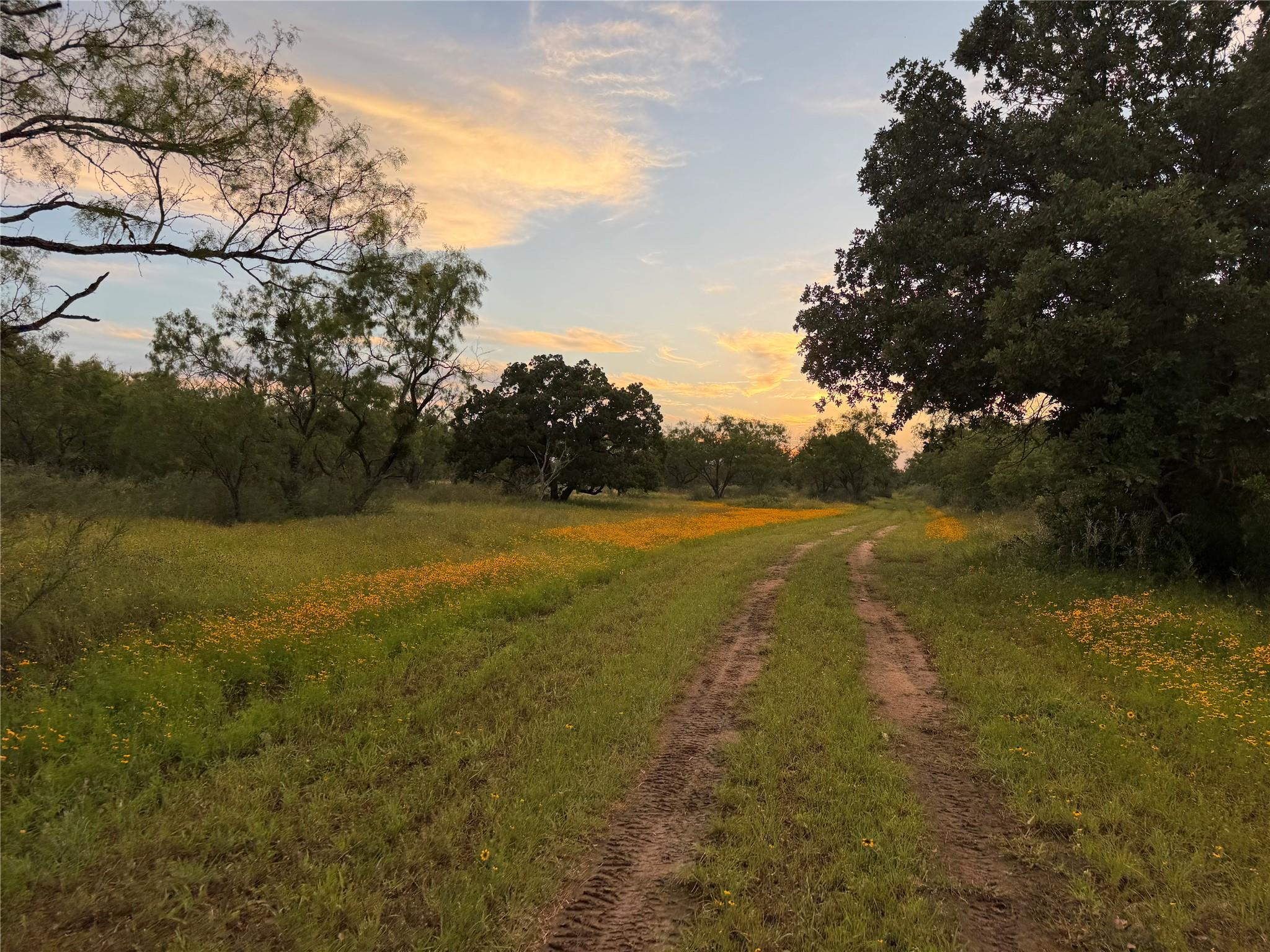 TBD FM 1980 tract 1