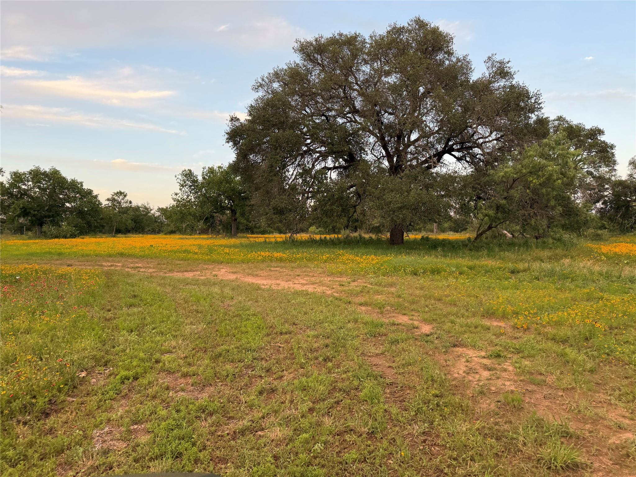 TBD FM 1980 tract 1 — photo 3