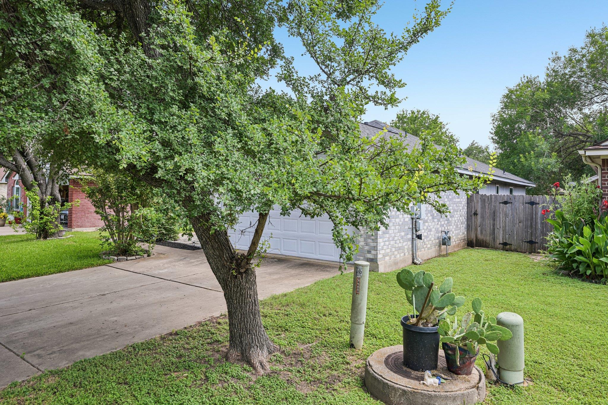 14611 Highsmith ST — photo 4