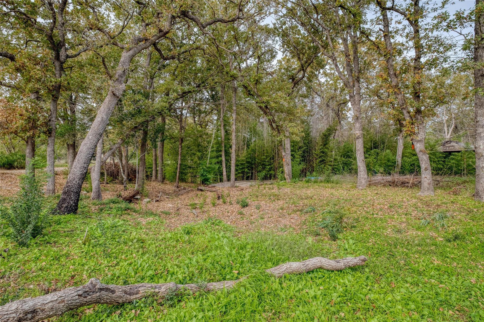 201 Artesian DR — photo 3