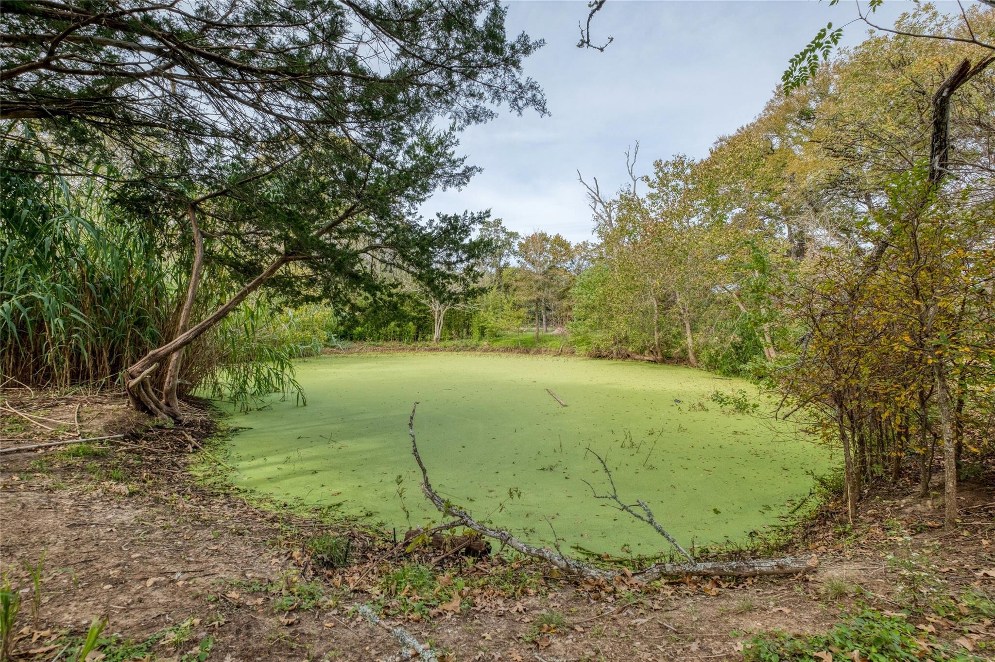 201 Artesian DR — photo 5