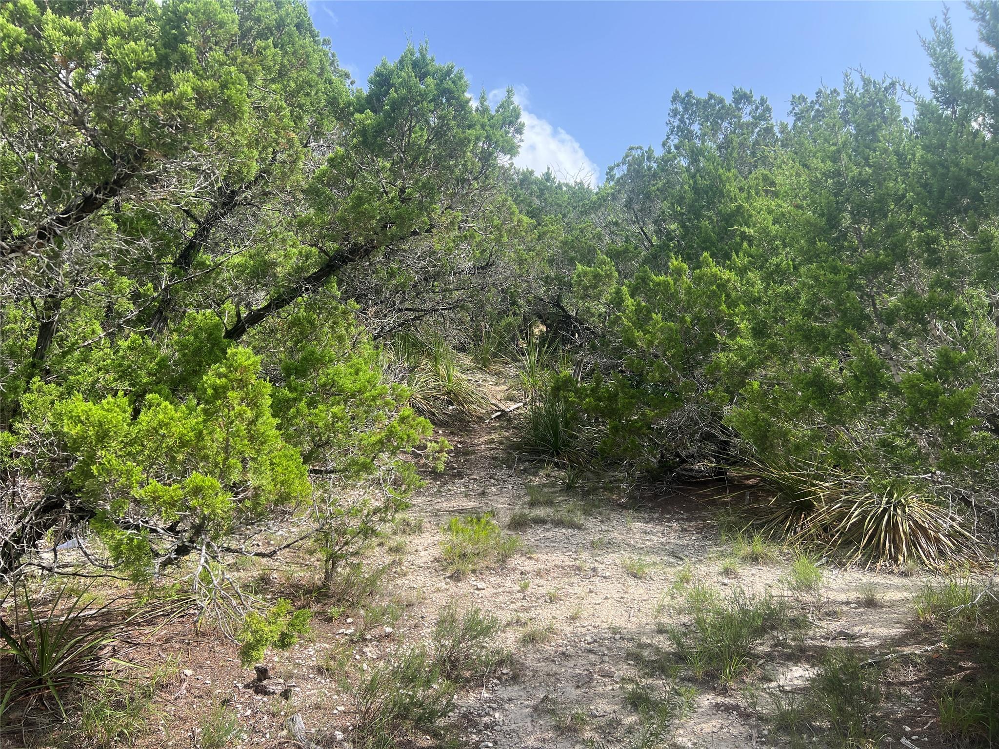 268 Scenic Hills DR — photo 3