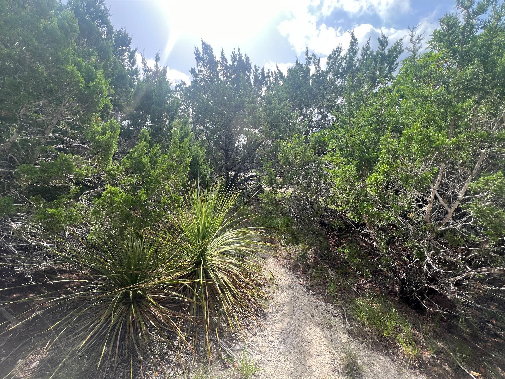 268 Scenic Hills DR — photo 4