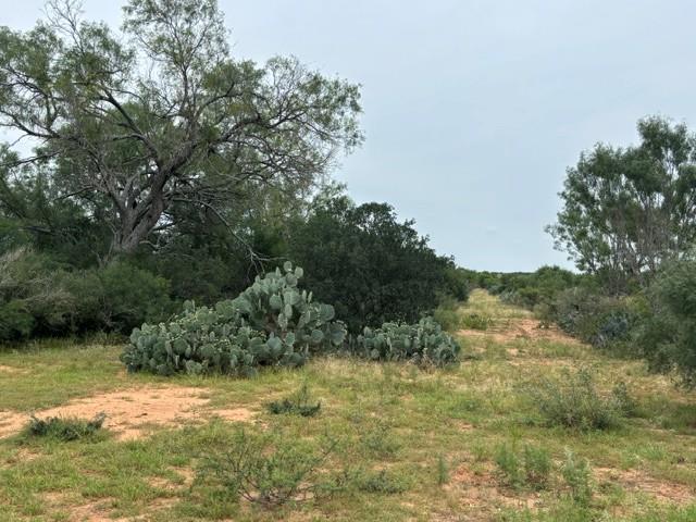 5394 FM 2200 RD — photo 5