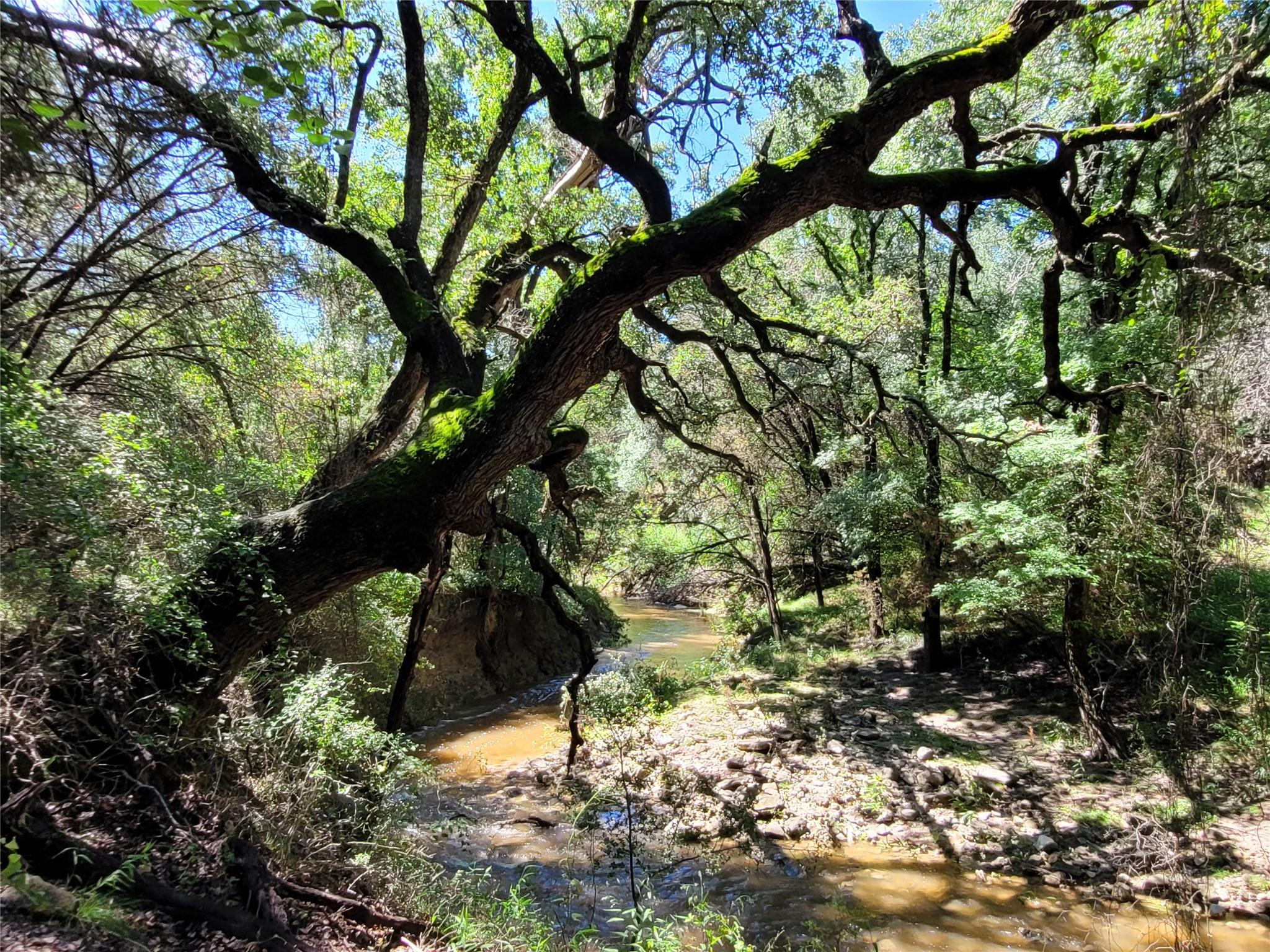 TBD CR 1139 575 Acres — photo 4