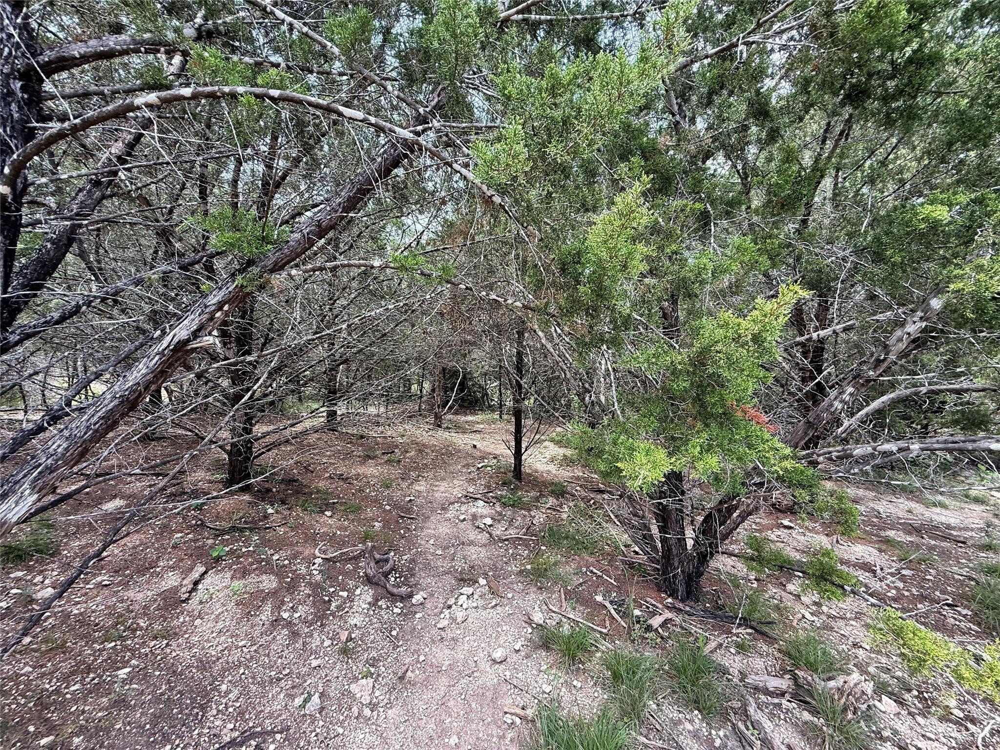 1709 Long Bow DR — photo 4